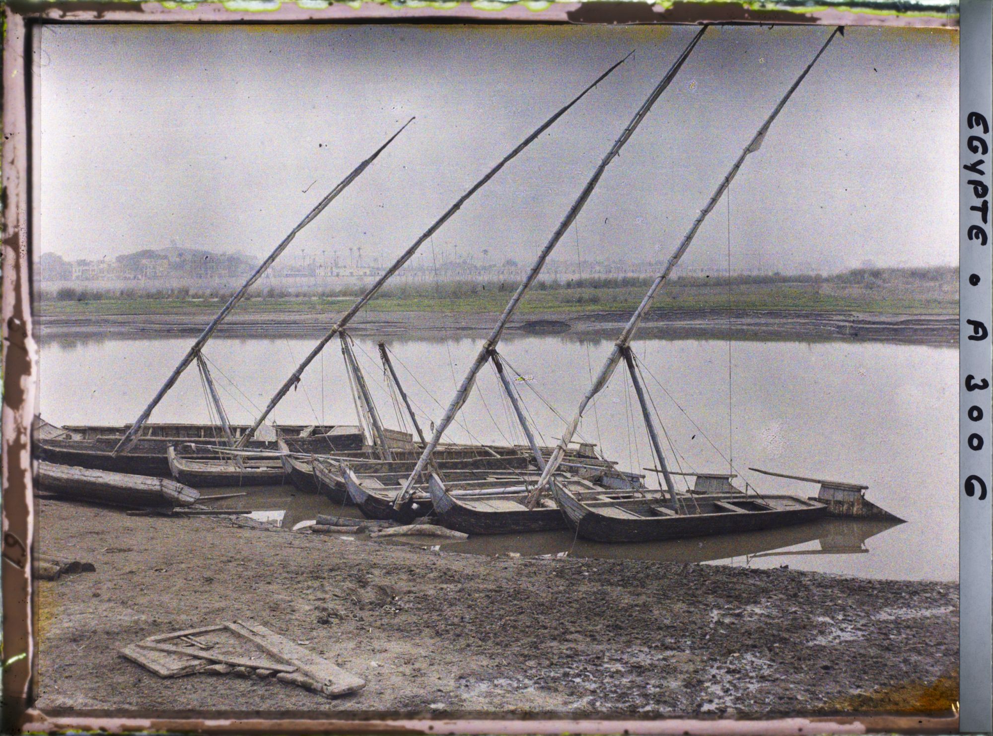 Image représentant Berges du Nil