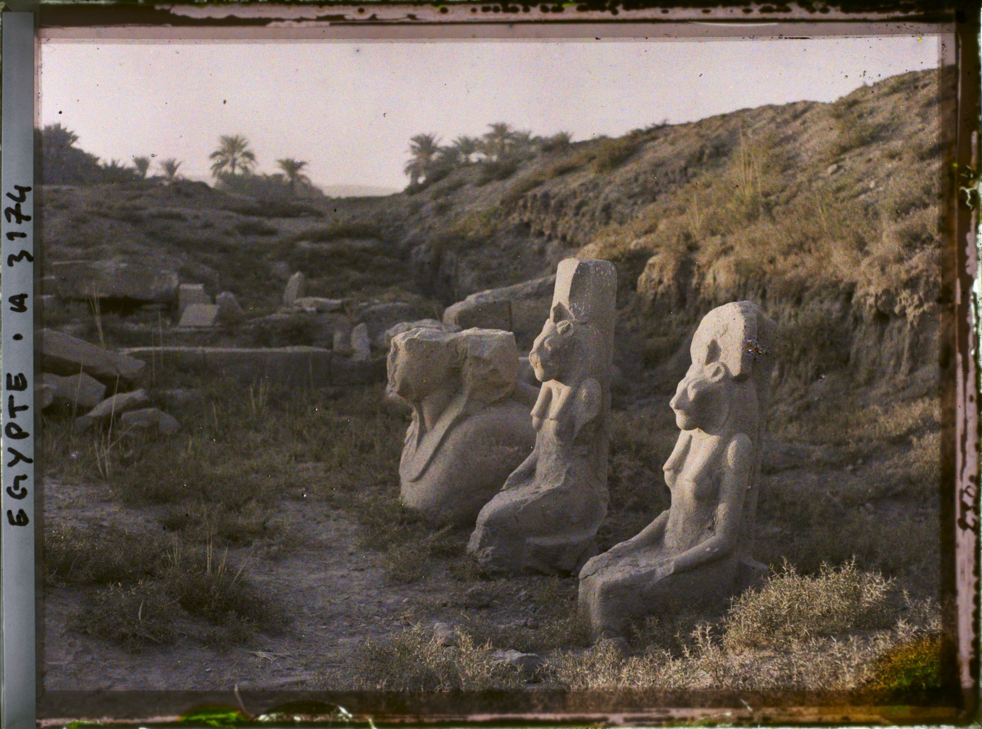 Image représentant Deux statues de la déesse Sekhmet