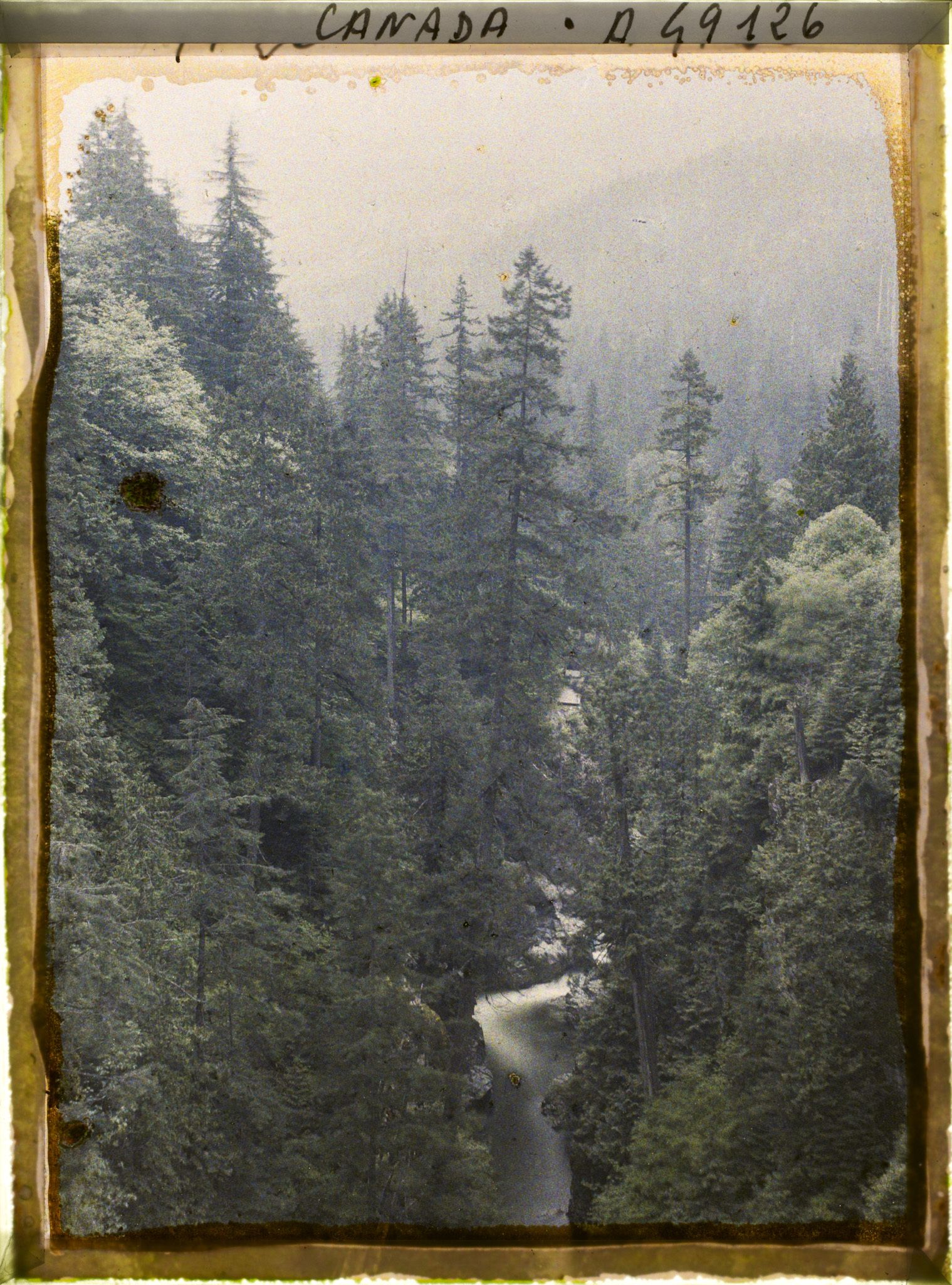 Image représentant Canada, Vancouver, Capilano Canyon- Paysage sous la pluie au 2e Canyon
