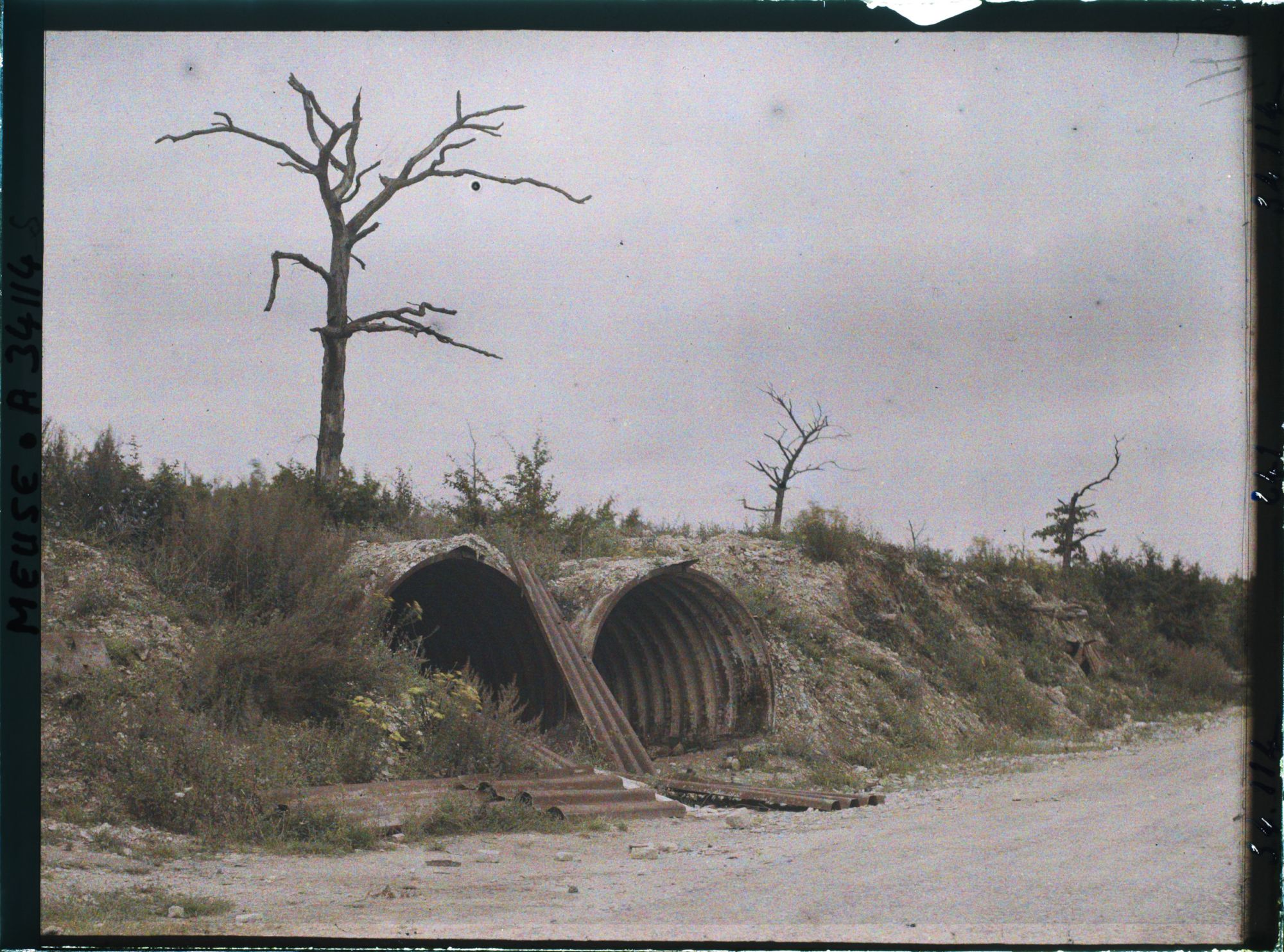 Image représentant France, Verdun, Abris et arbres morts sur la route avant le Cimetière