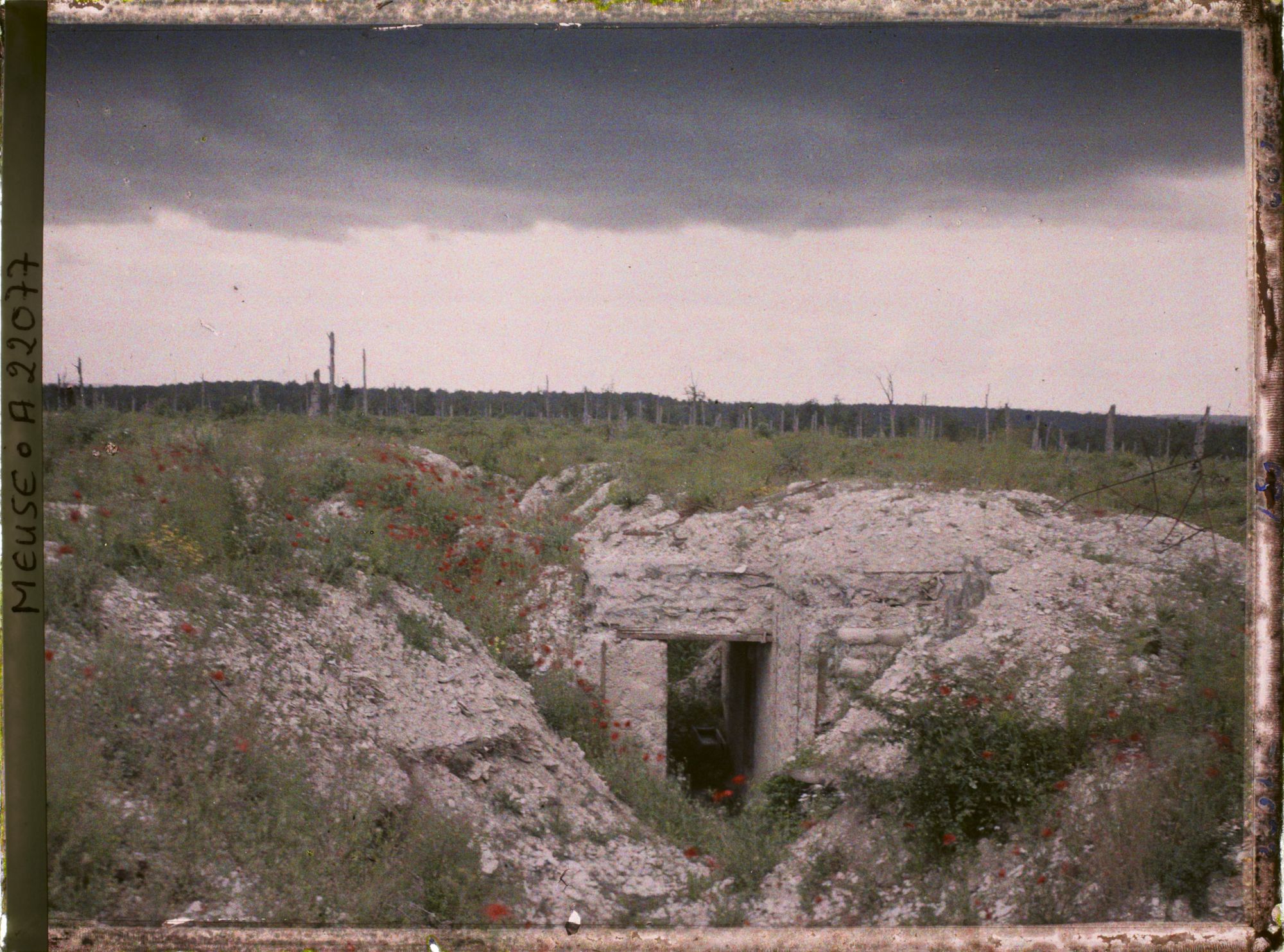 Image représentant France, Tranchées de Calonnes, Tranchée boche à la Côte de Senoux