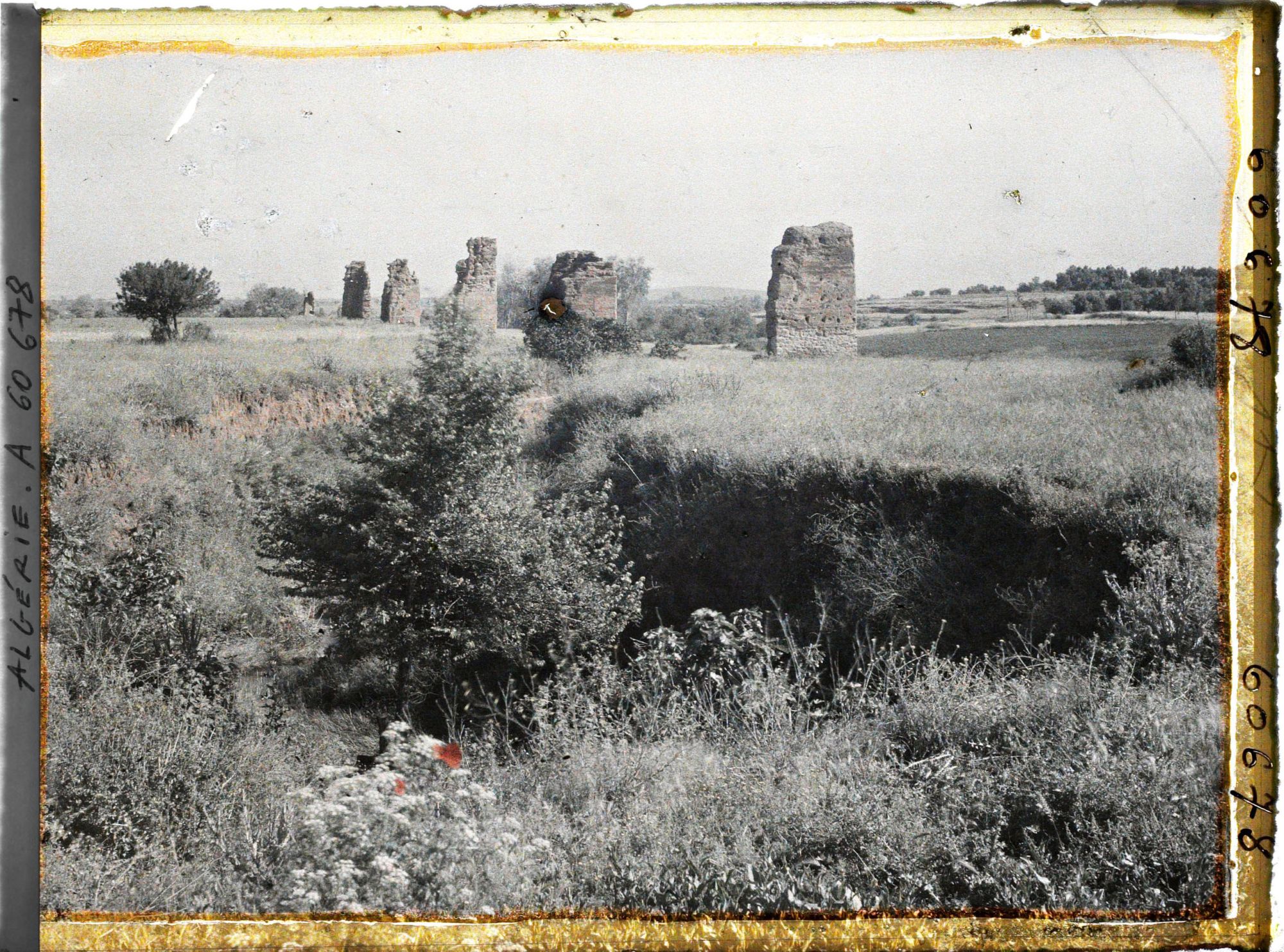 Image représentant La partie orientale de l'enceinte de l'ancienne ville de Mansoura