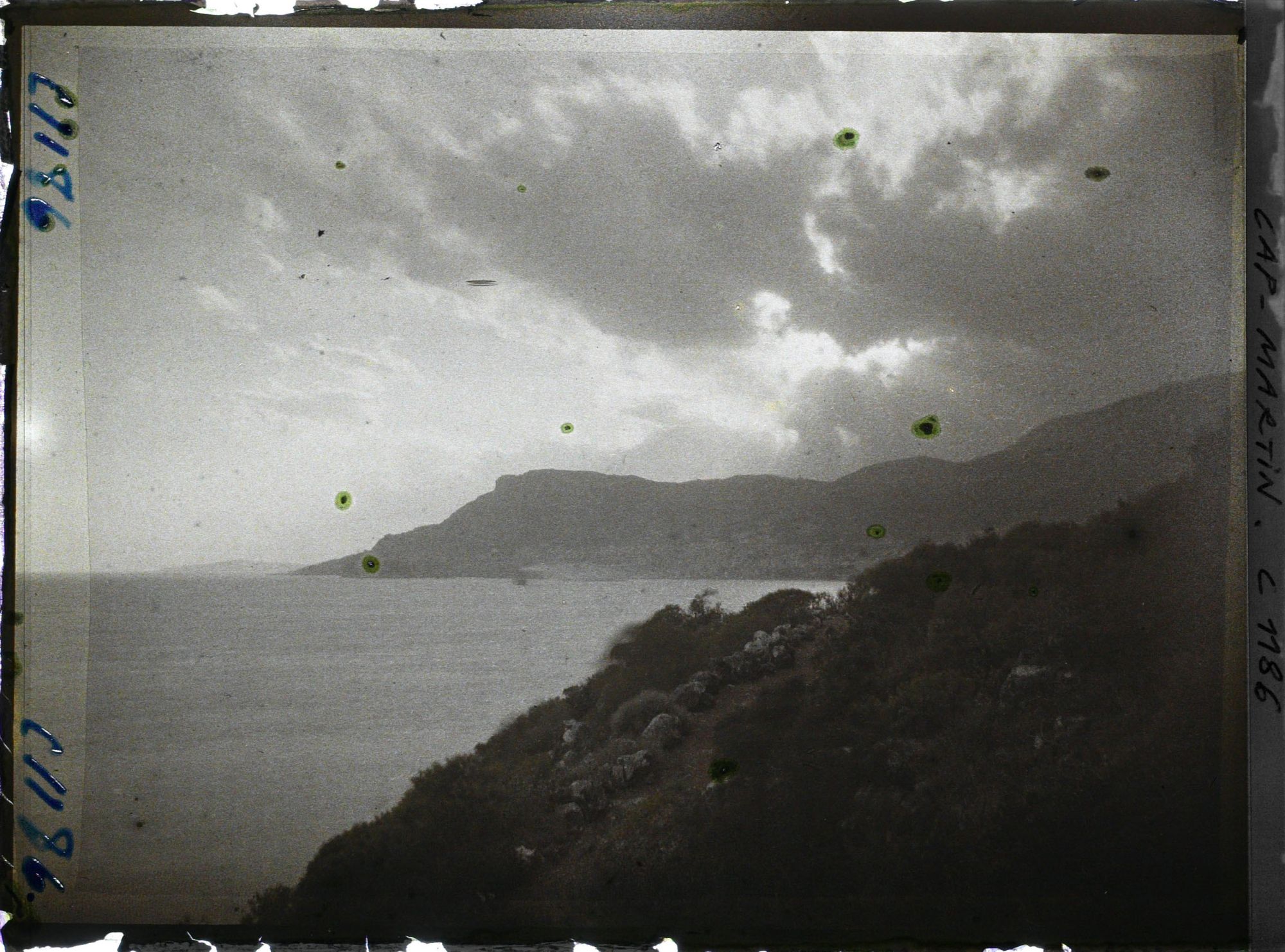 Image représentant le Jardin