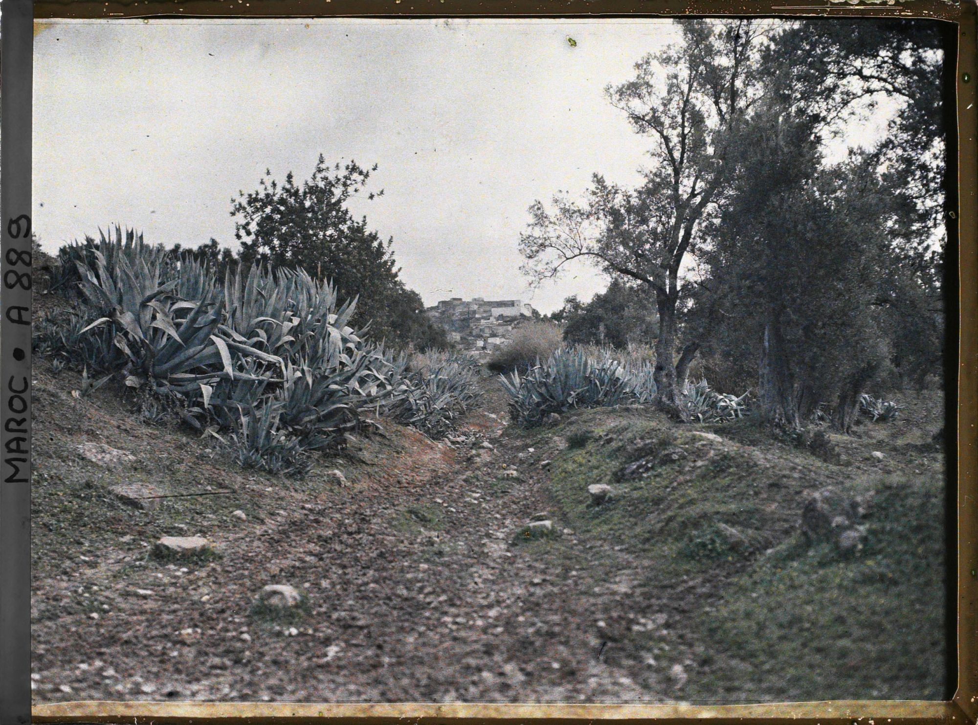 Image représentant Sur la route menant à Moulay Idriss