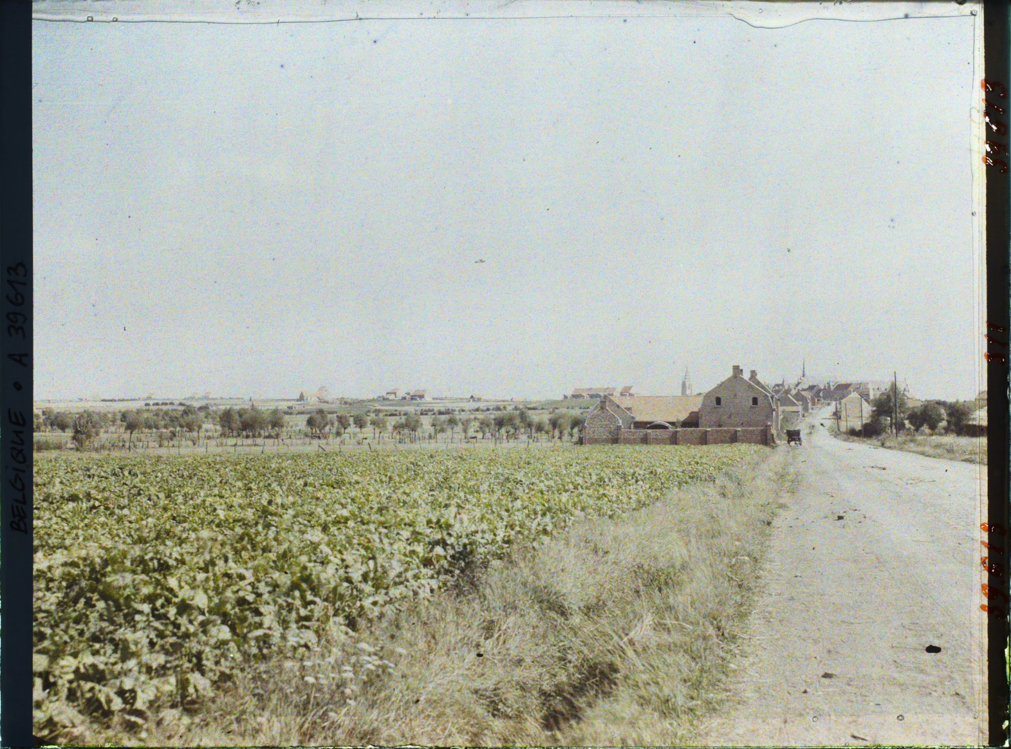 Image représentant Belgique, Morsleade, La Cité ouvrière