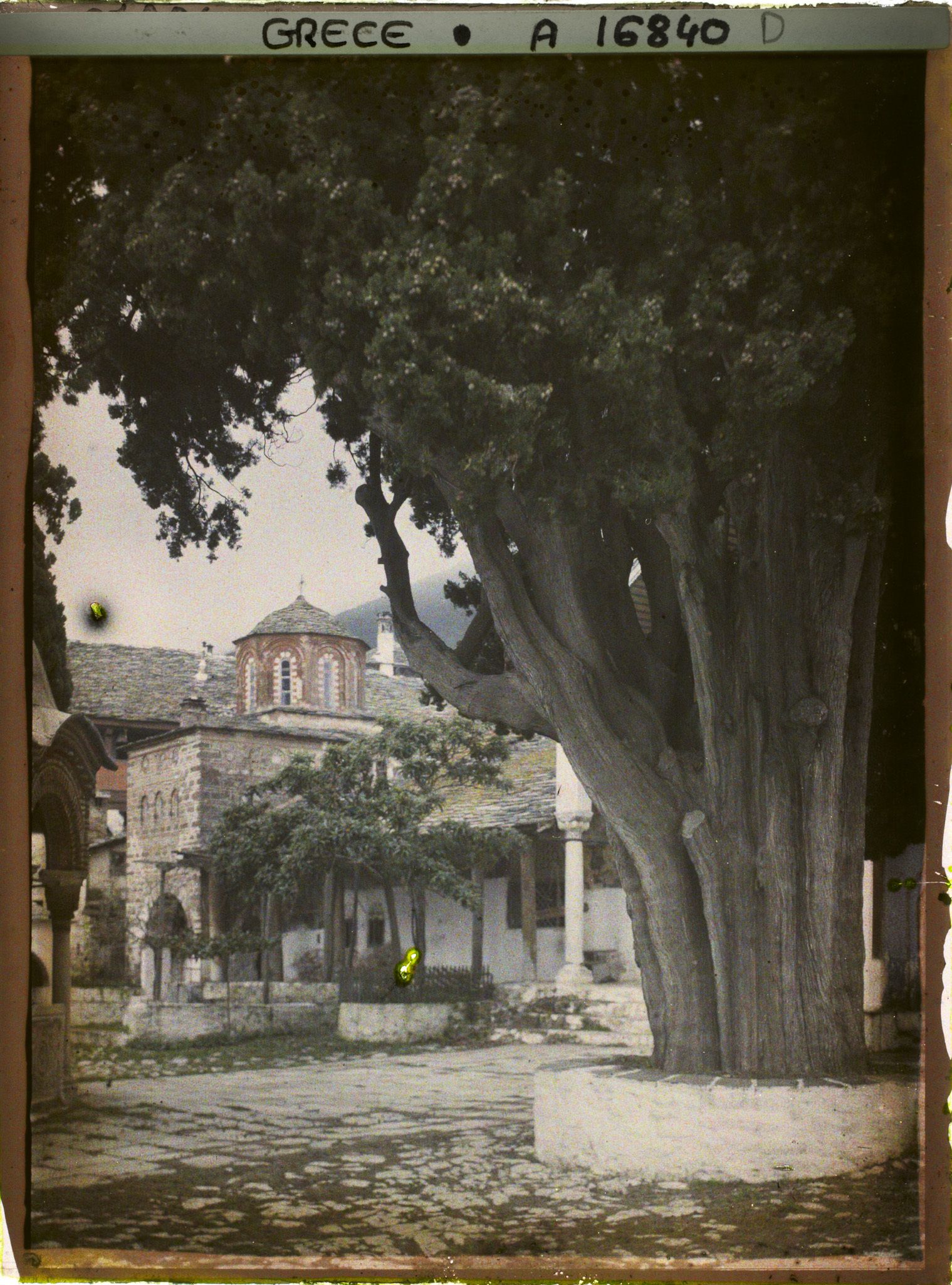 Image représentant Mont Athos, Grande Lavra, Une partie de la Cour et un gros Cyprès