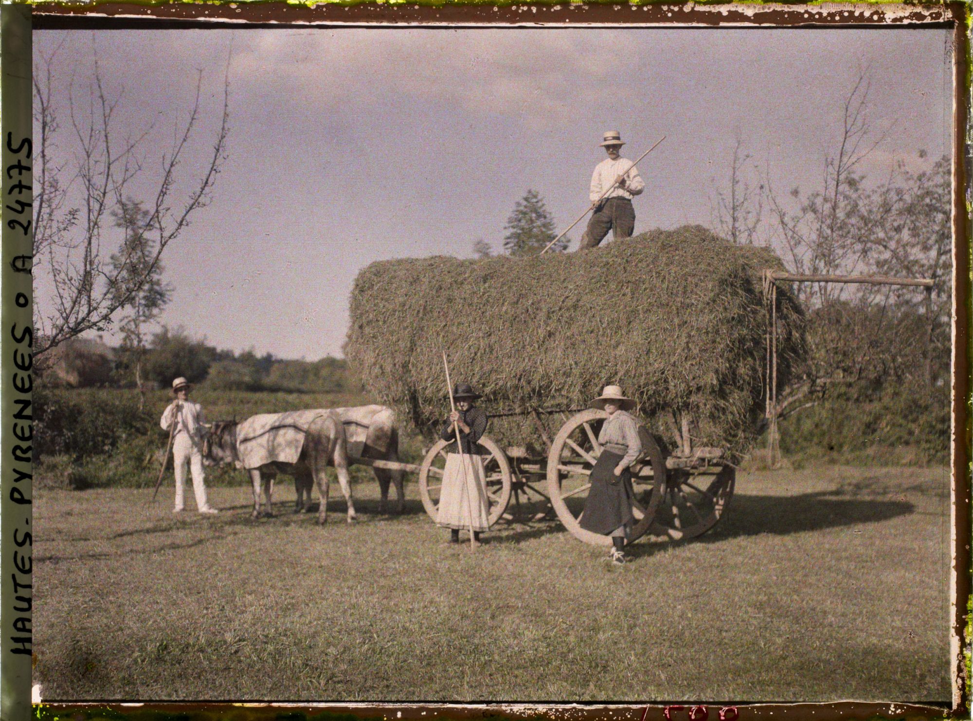 Image représentant France, Arreau, La récolte du foin