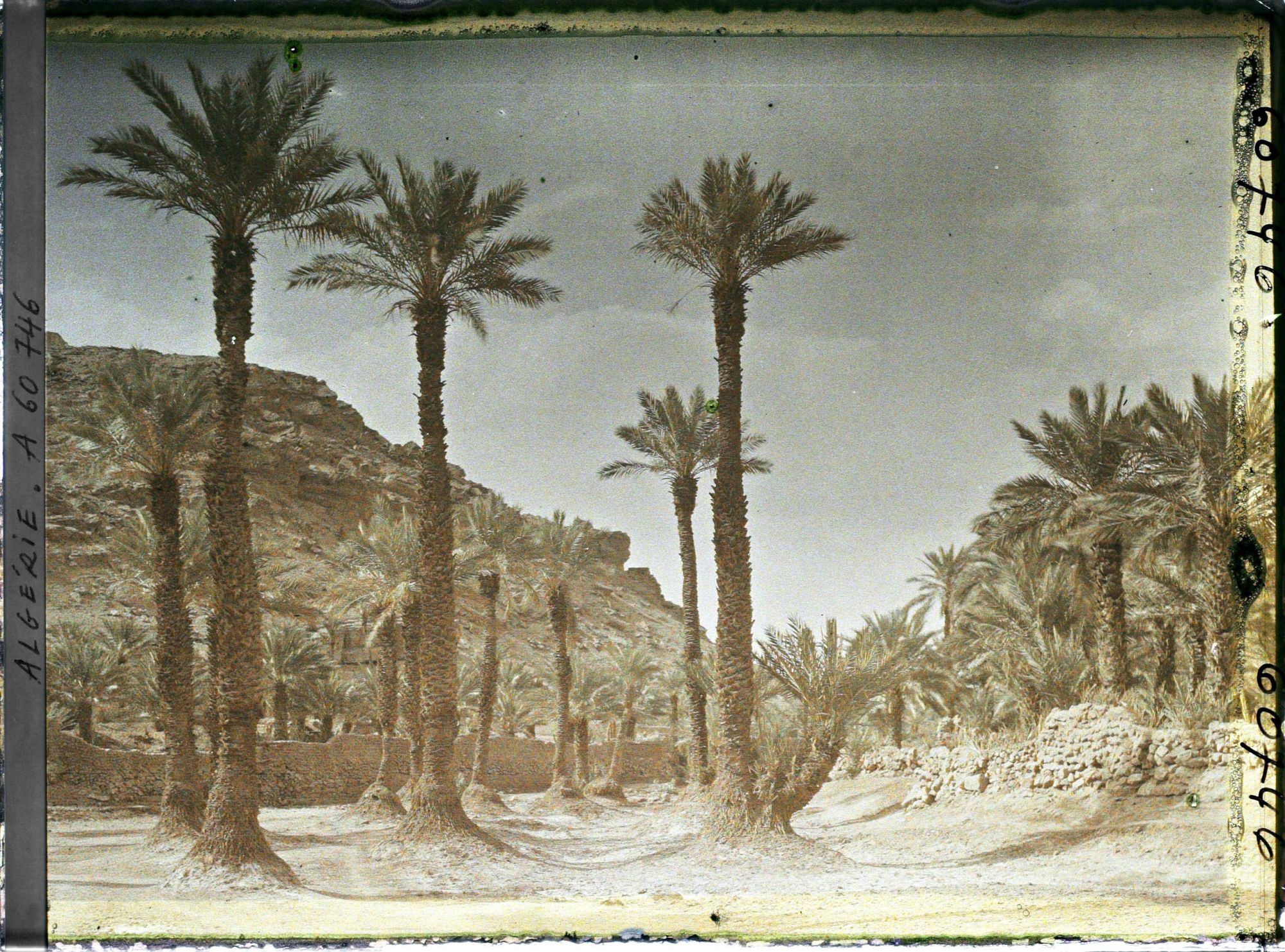 Image représentant Vue de l'oasis avec l'éperon rocheux de la hamada