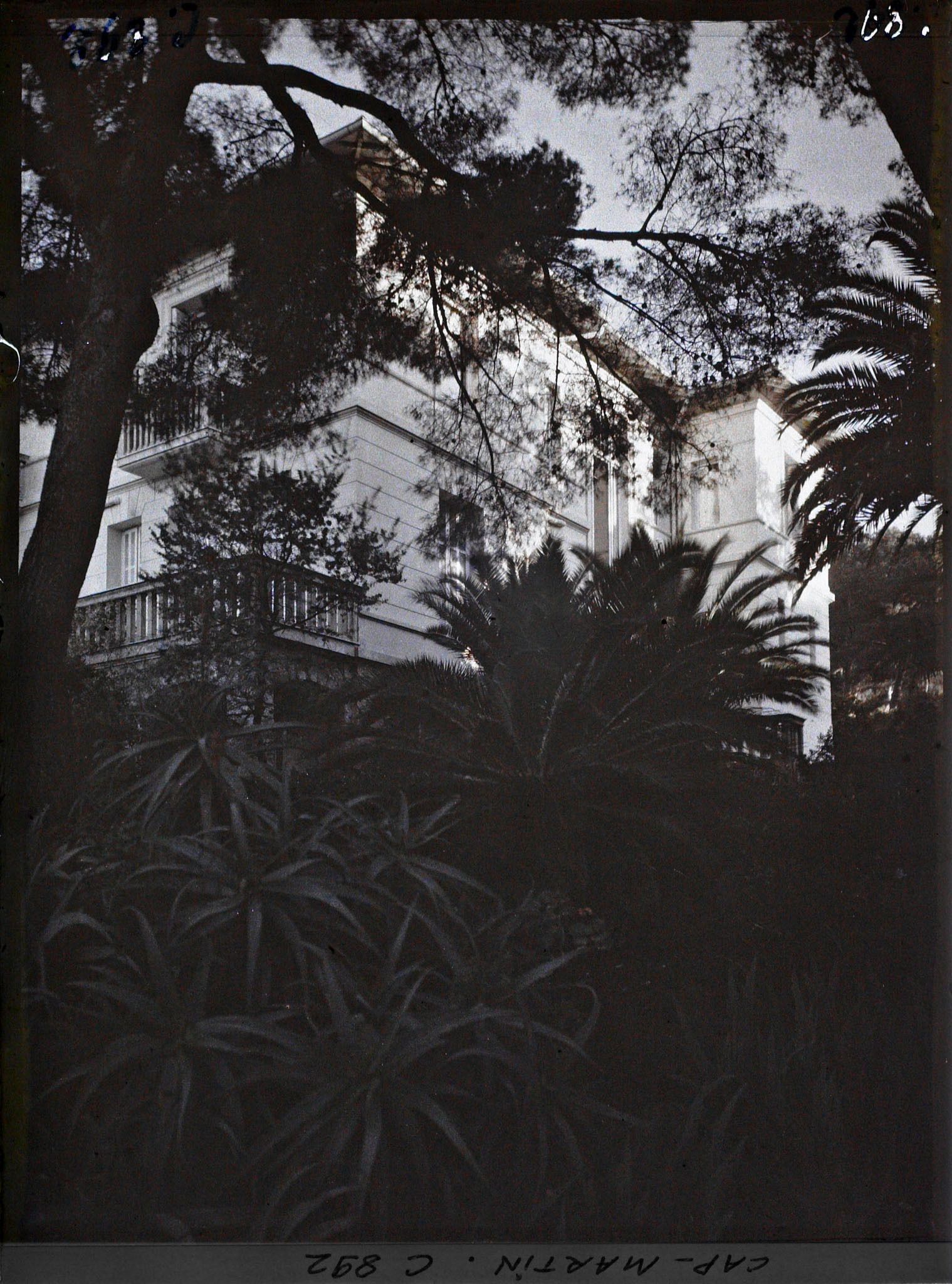 Image représentant La Villa Dunure vue à travers les arbres