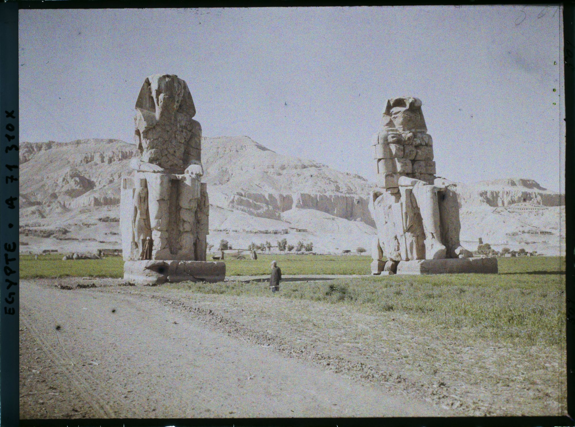 Image représentant Colosses de Memnon