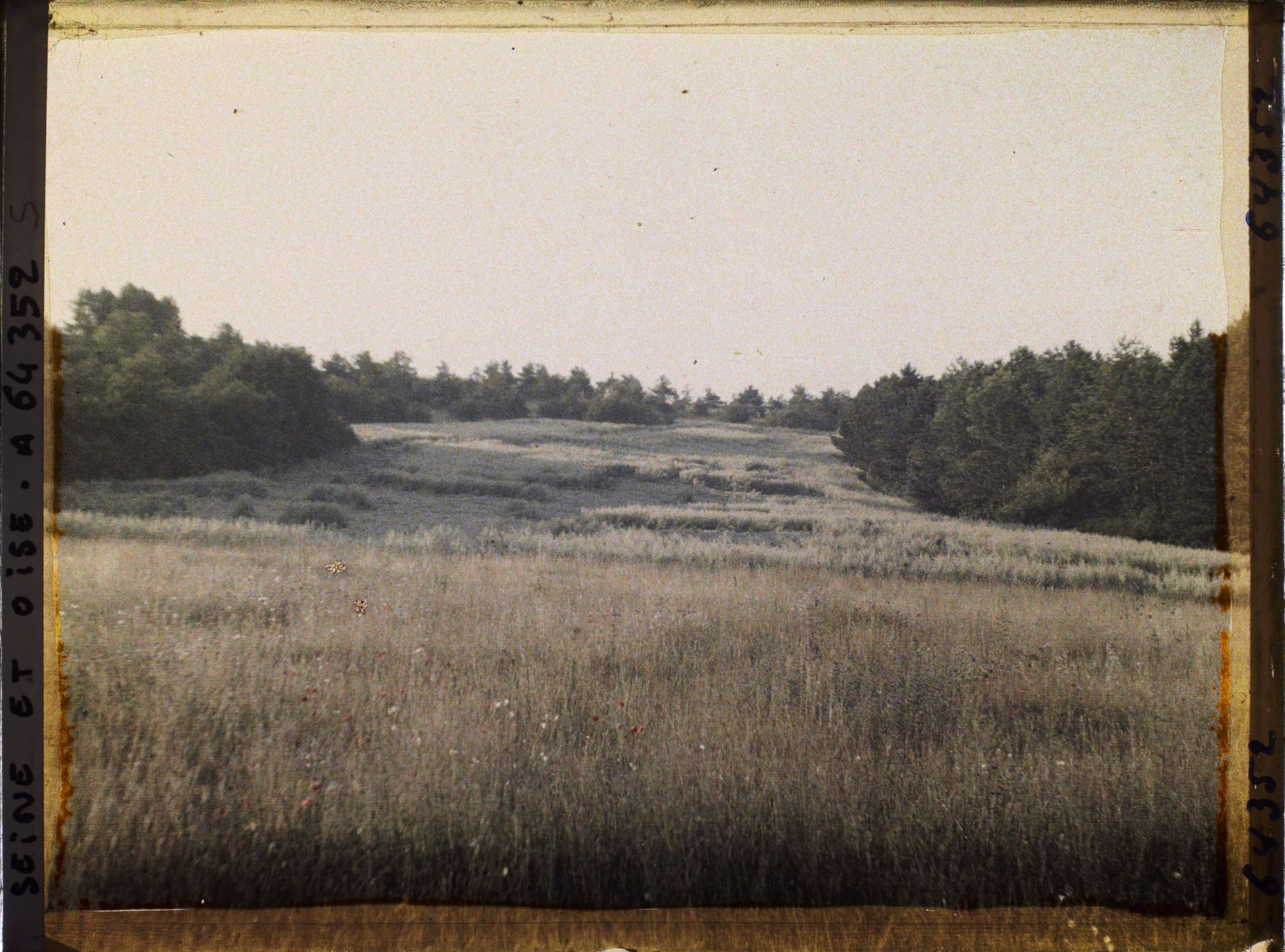 Image représentant Ile de France, Vallangoujard, Champ d'Avoine au lever du soleil