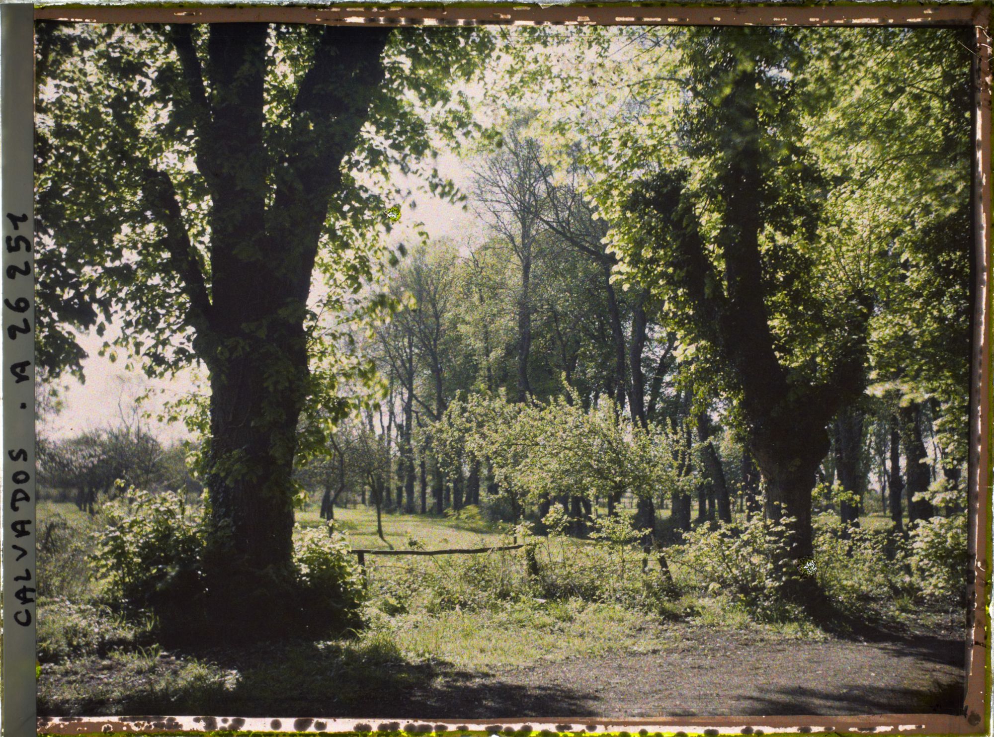 Image représentant Environs de la ferme de " Canon "