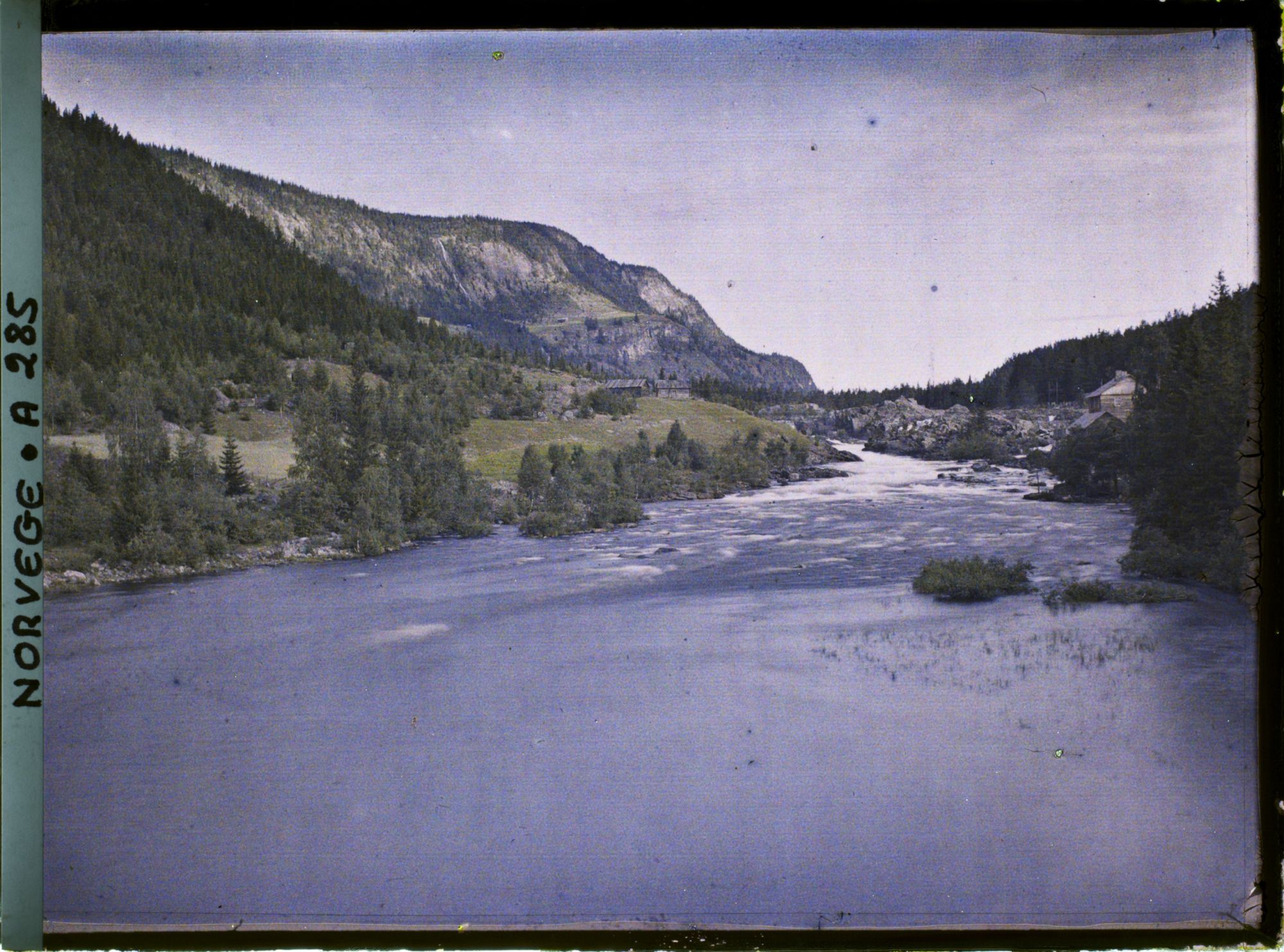 Image représentant Le Noeselo