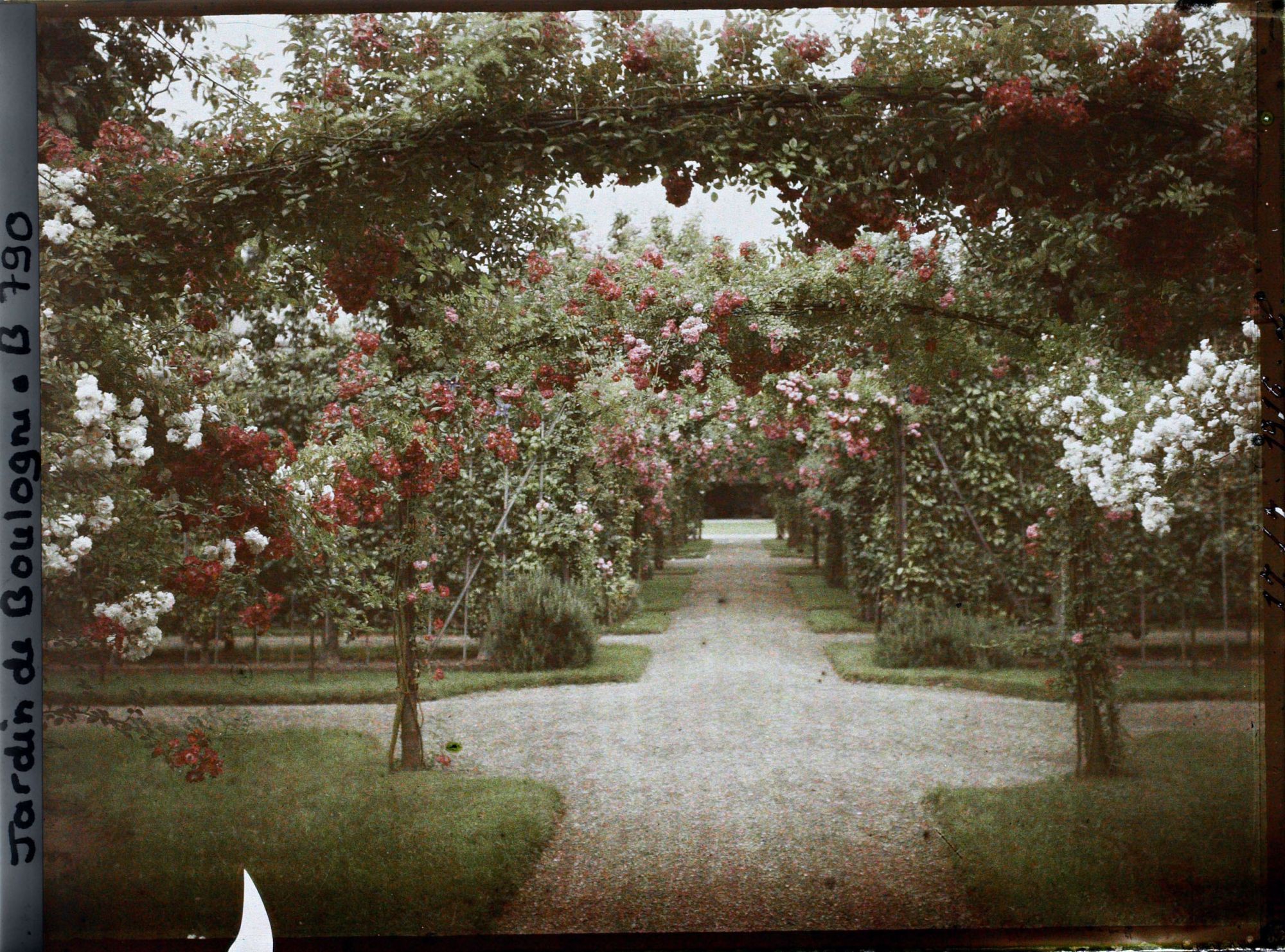 Image représentant Axe central du verger-roseraie vu vers le jardin anglais, depuis le second carrefour côté dépendance