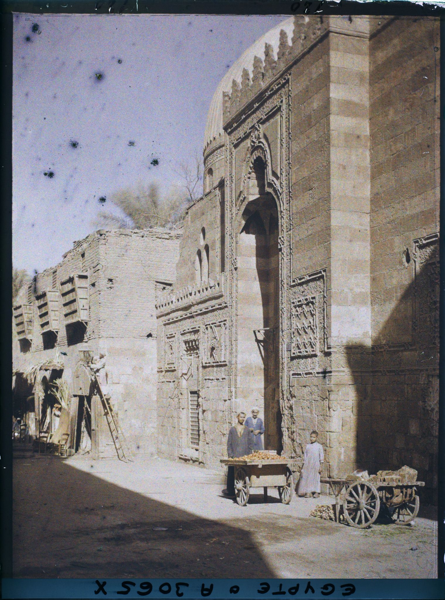 Image représentant Marchands de tomates