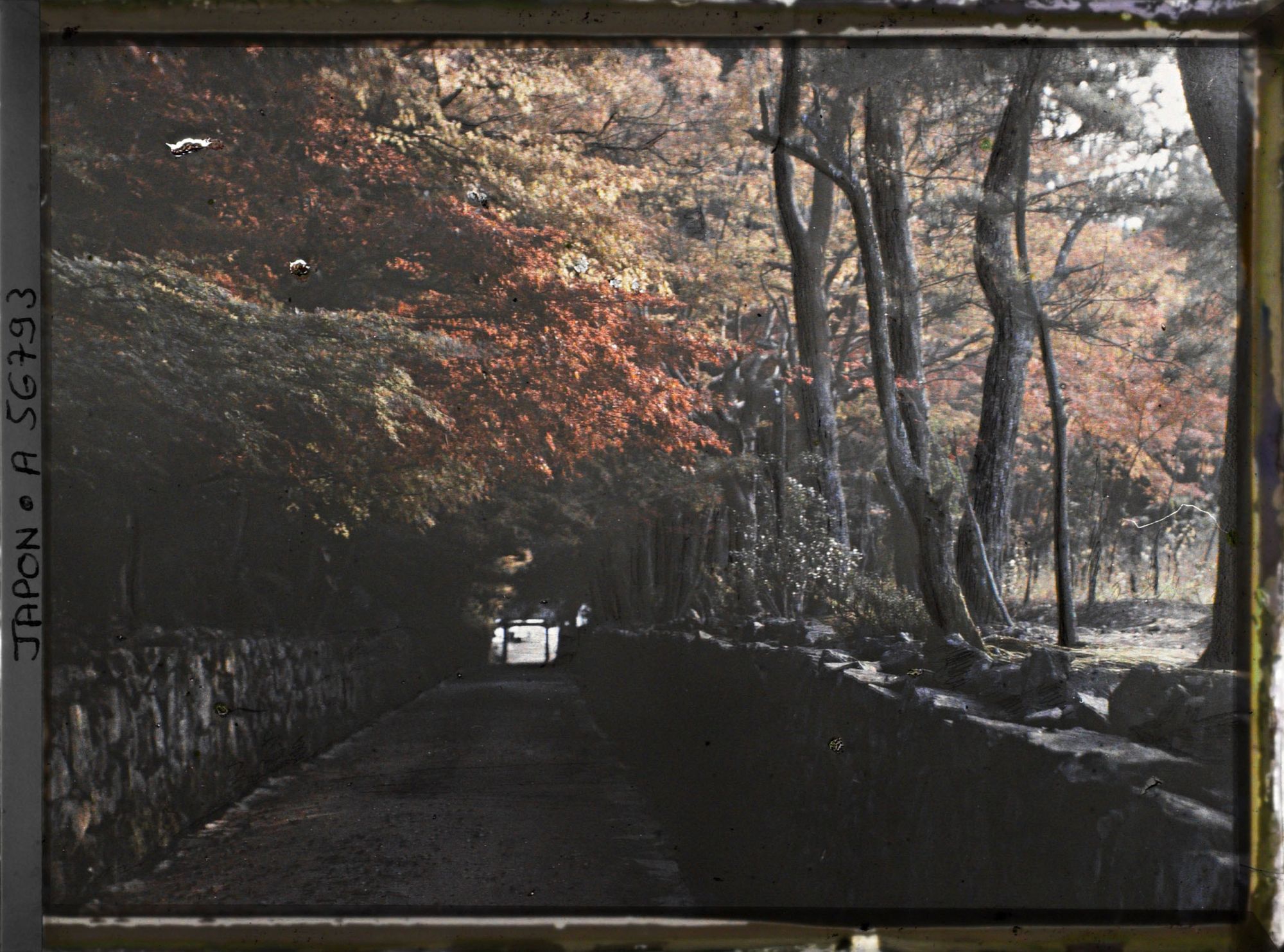 Image représentant Temple Kôshô-ji : allée Kotozaka menant au temple