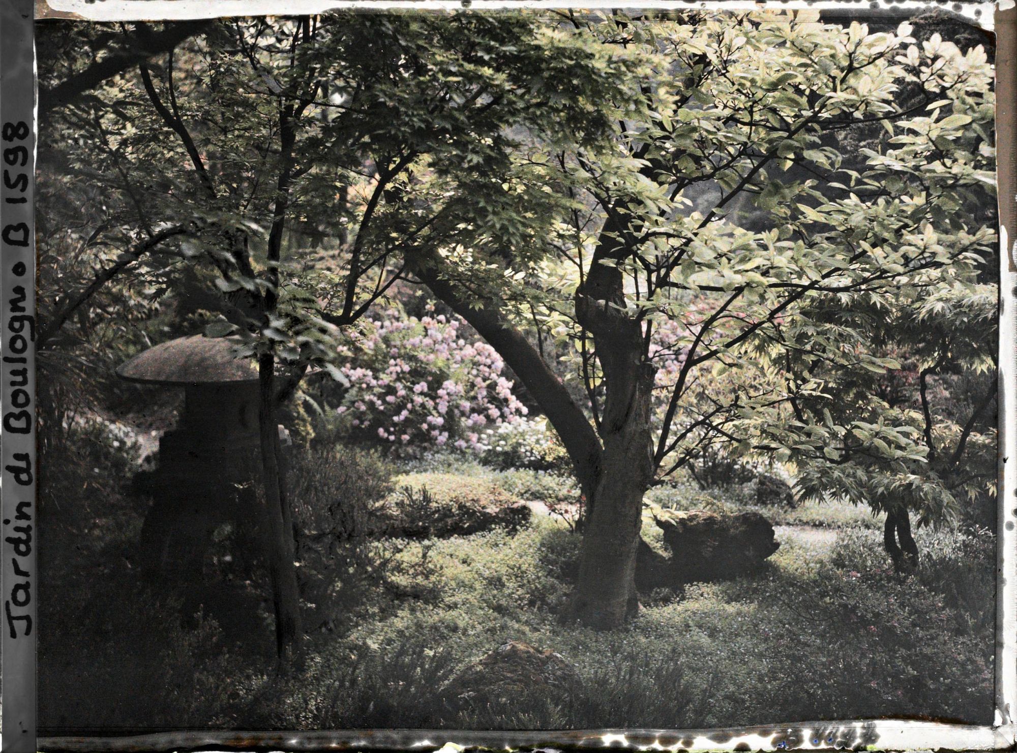 Image représentant Arbustes et lanterne au bord d'un chemin proche du torii et des ponts du " sanctuaire japonais "