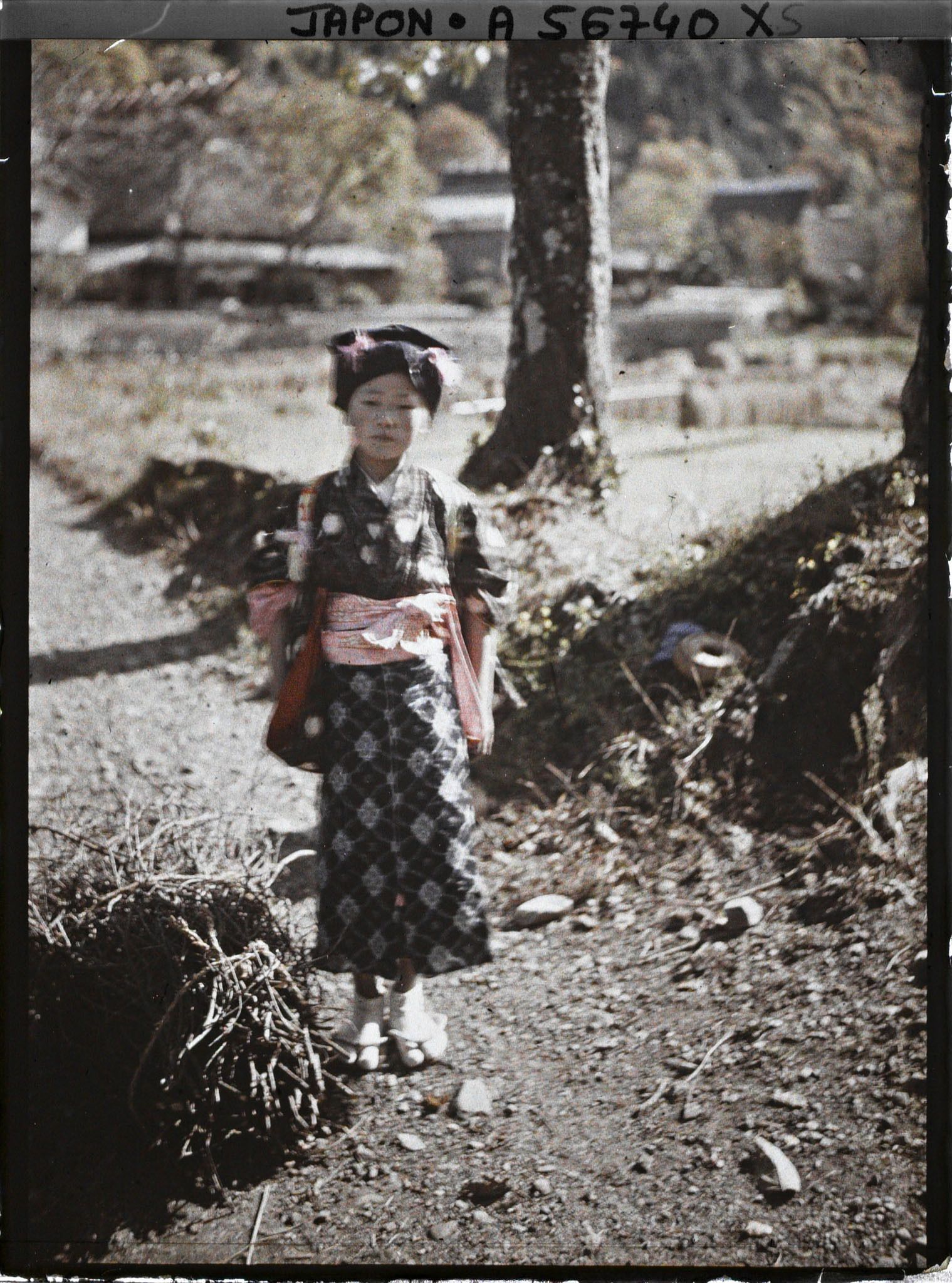 Image représentant Fillette