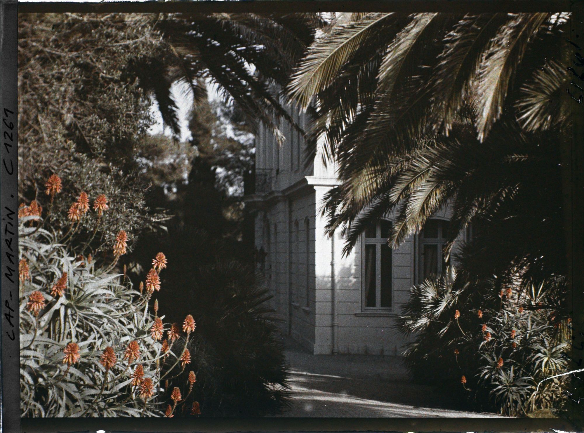 Image représentant le Jardin