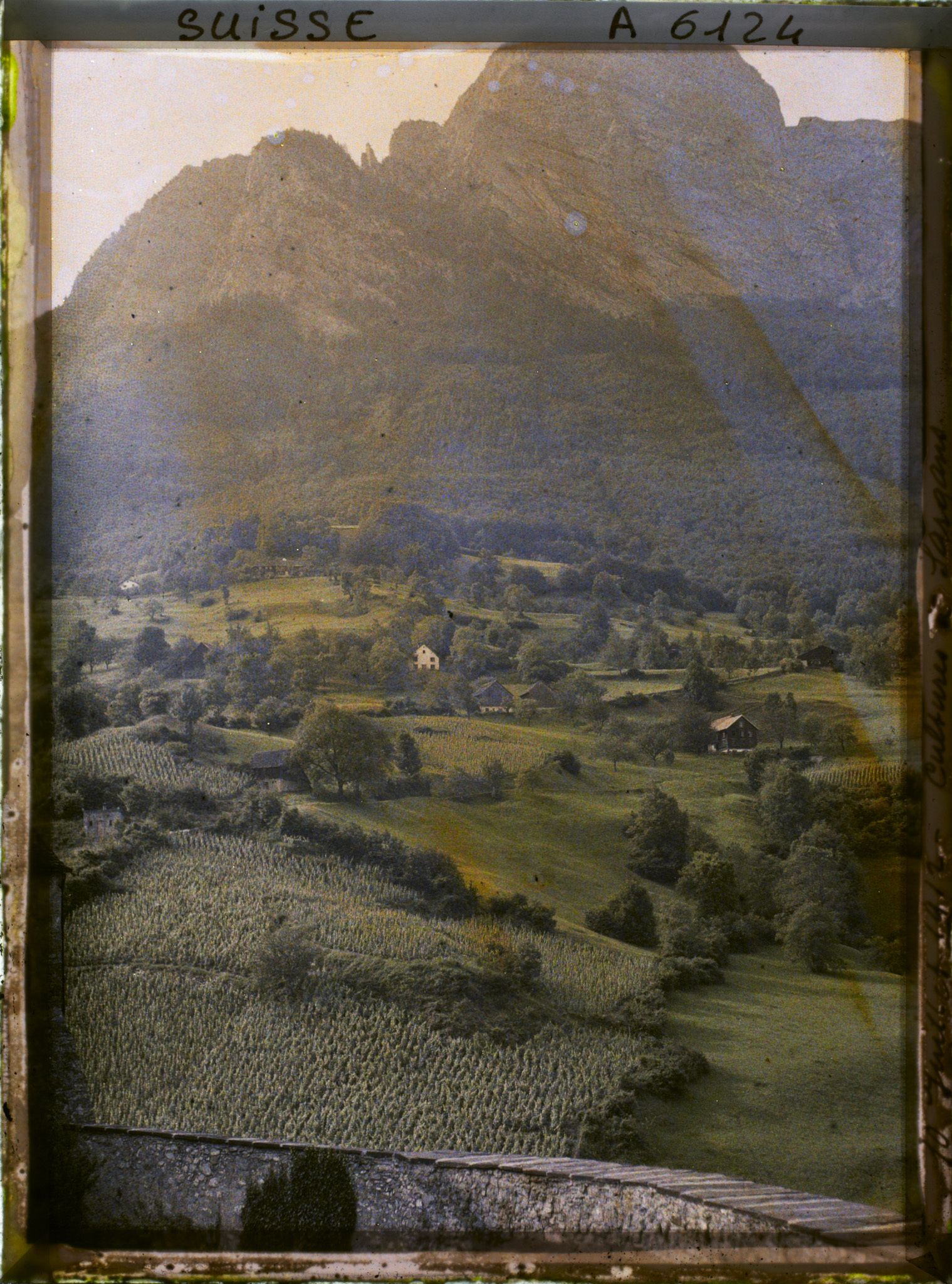 Image représentant Culture de la vigne aux abords du château de Sargans