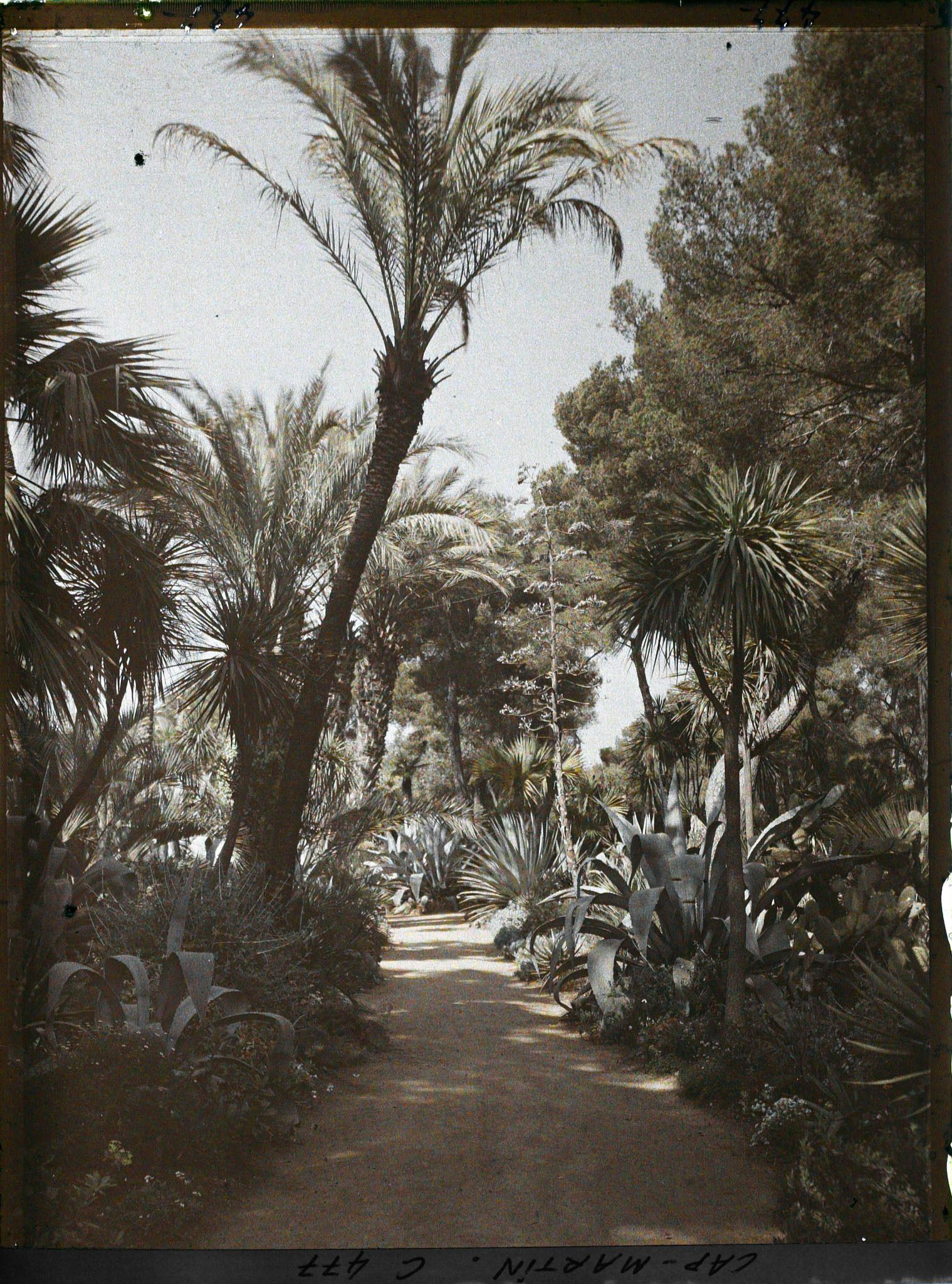 Image représentant Cap Martin Le Jardin