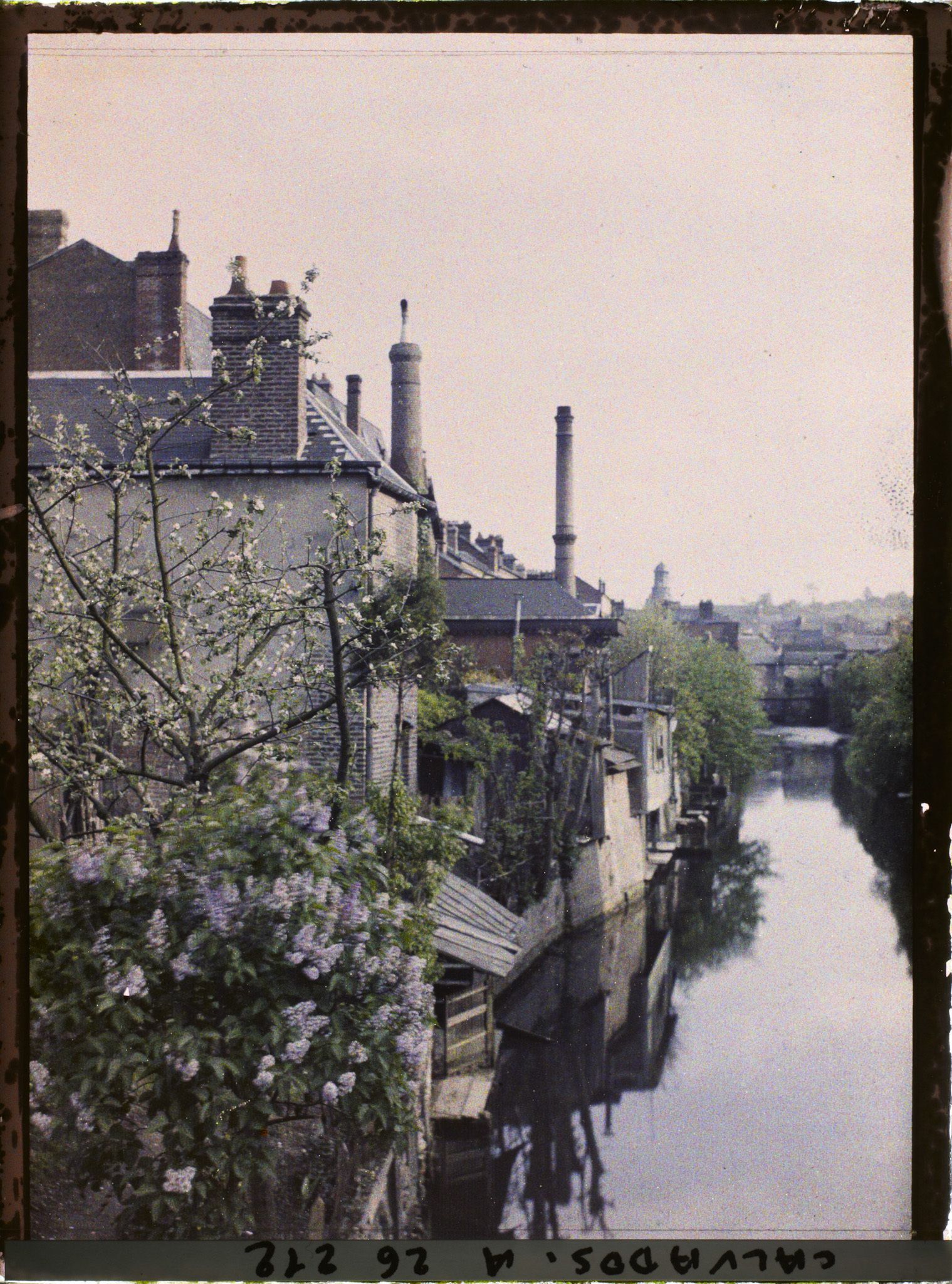 Image représentant Vue sur la Touques