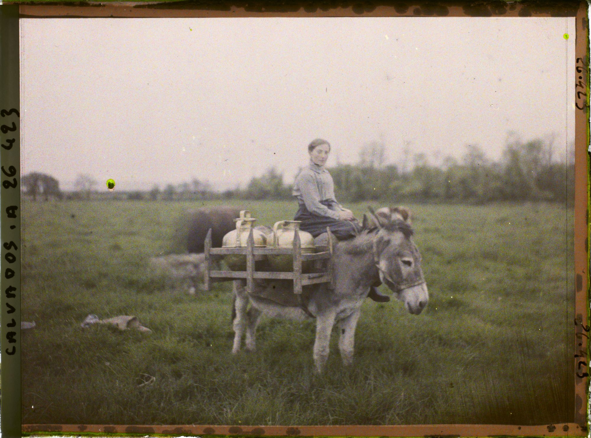 Image représentant Une laitière