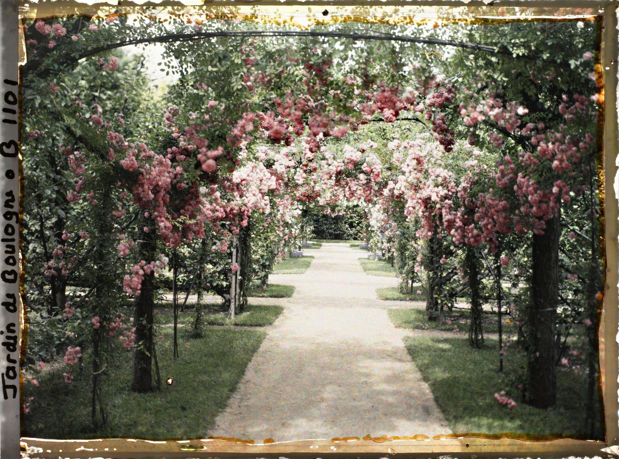 Image représentant Axe central du verger-roseraie vu vers la dépendance, après le rond-point proche du jardin français