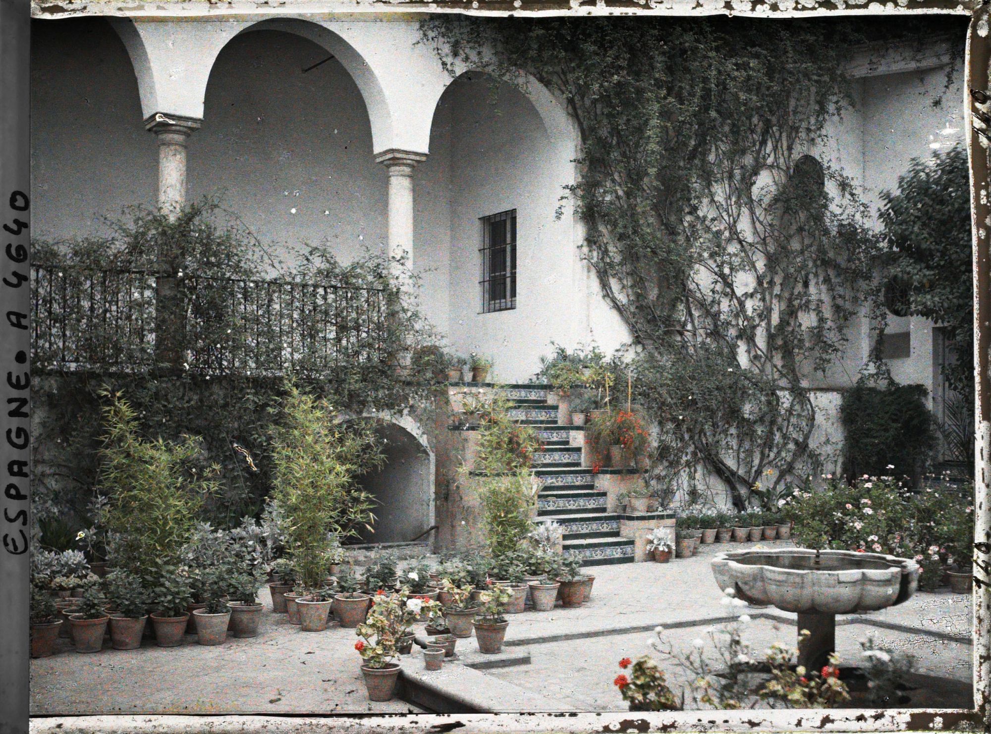 Image représentant A Vérifier : Patio dans les jardins de l'Alcazar