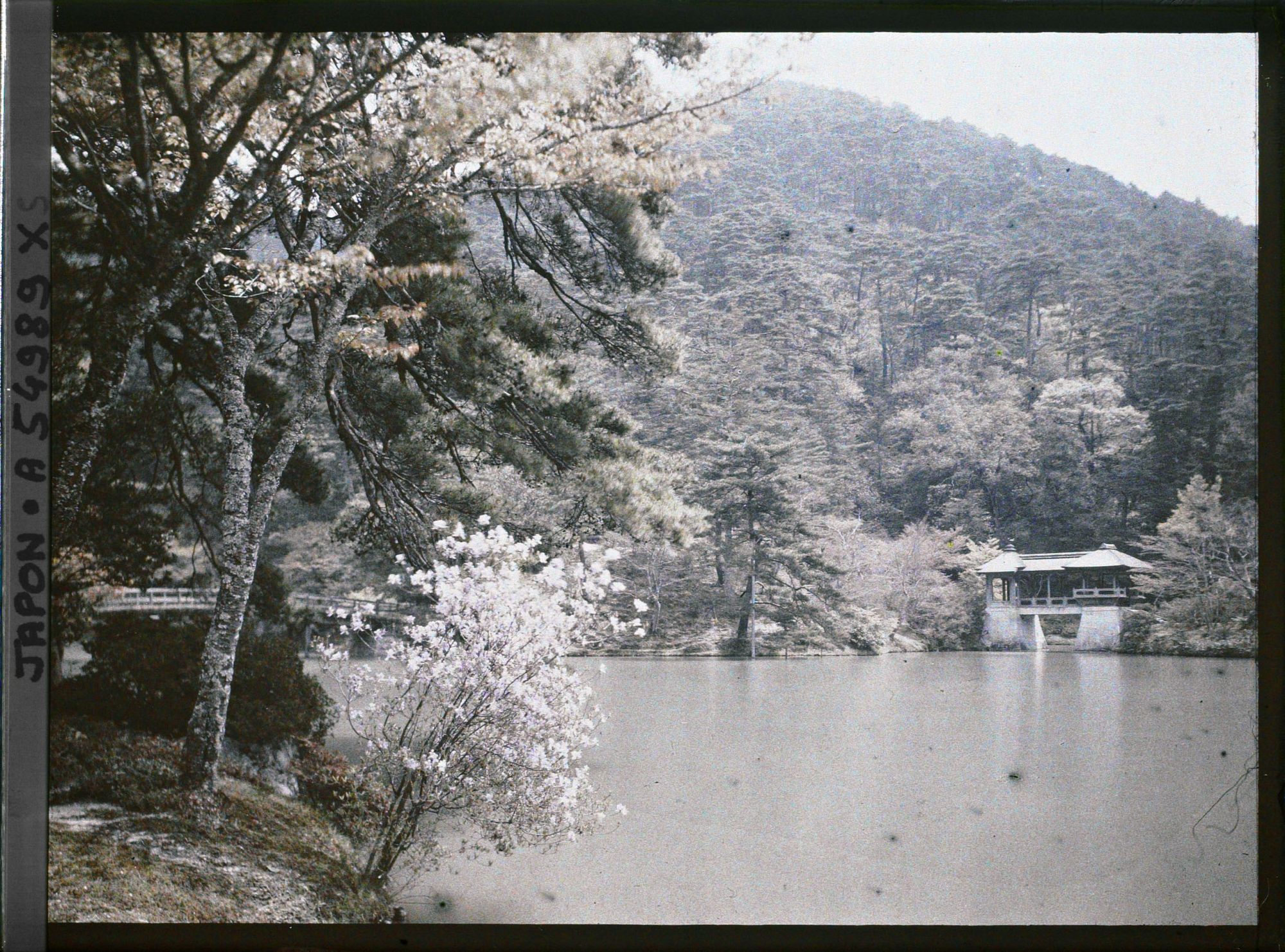 Image représentant Les jardins de la villa impériale Shugakuin Rikyû : l'étang Yokuryu et le pont Chitose-bashi (Pont de Mille Ans)