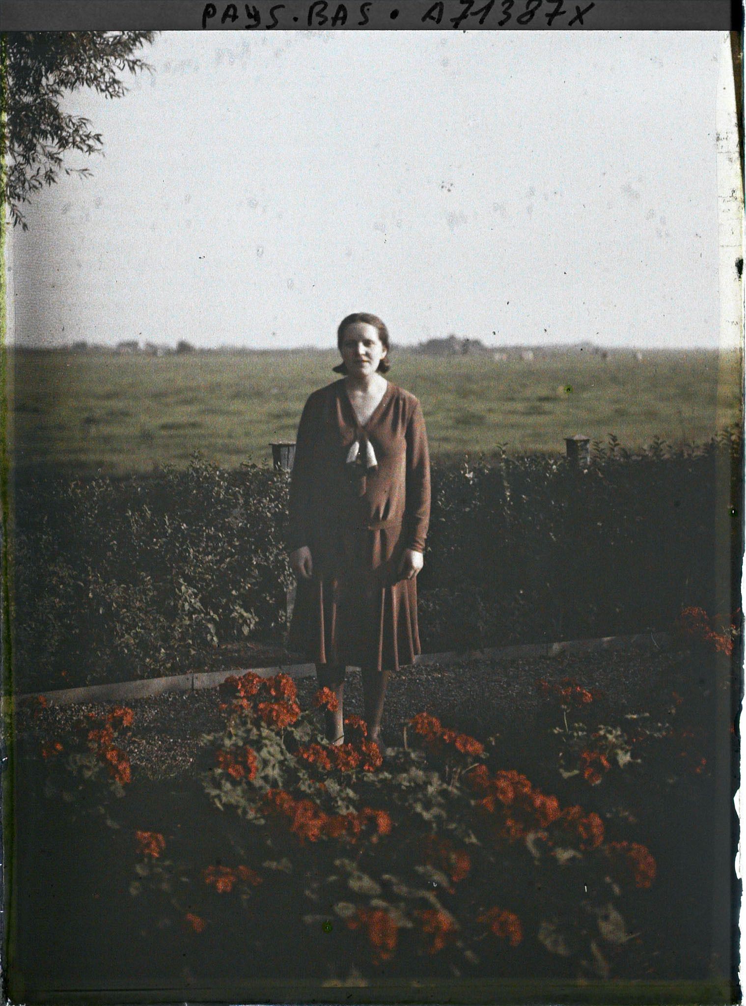 Image représentant Jeune femme dans un jardin
