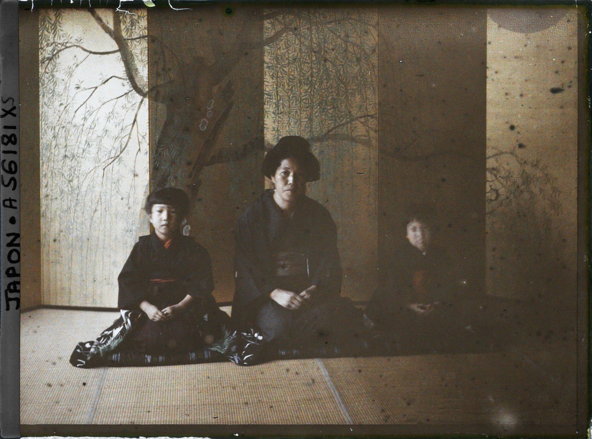 Image représentant Famille paysanne en costume de cérémonie