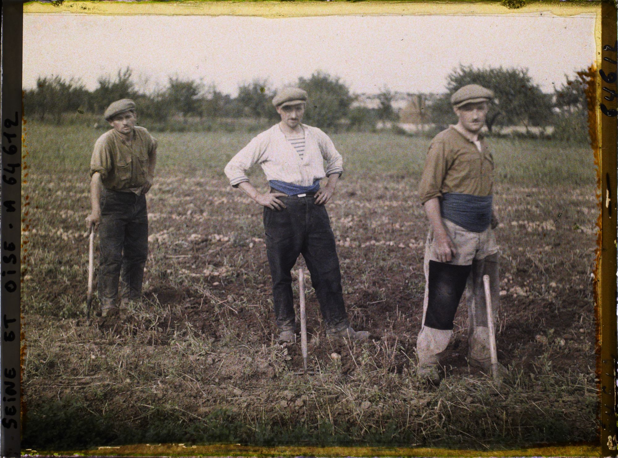 Image représentant Ile de France, Pontoise, Ouvriers Agricoles - arrachant les pommes de terre