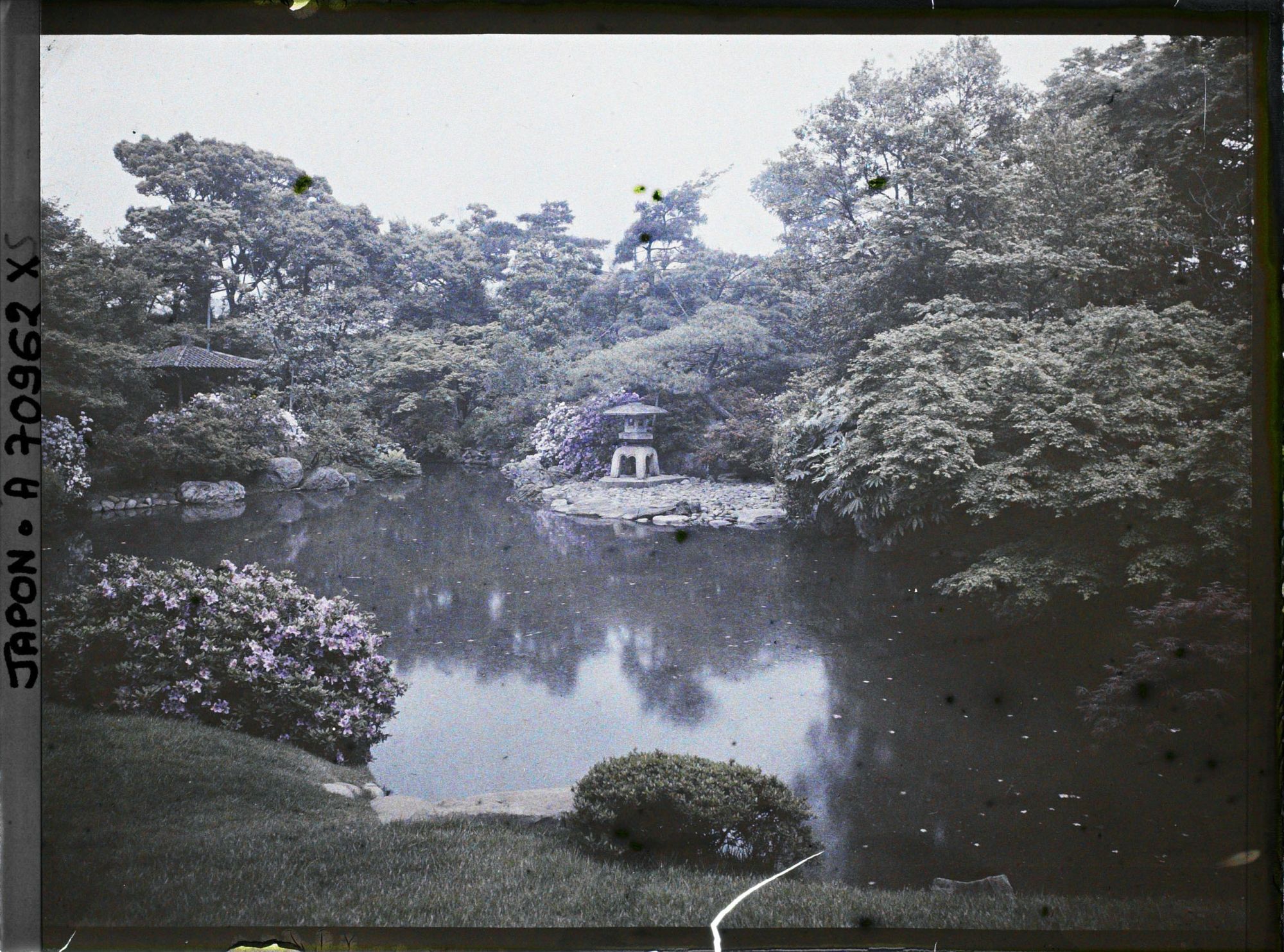 Image représentant Jardin d'une résidence