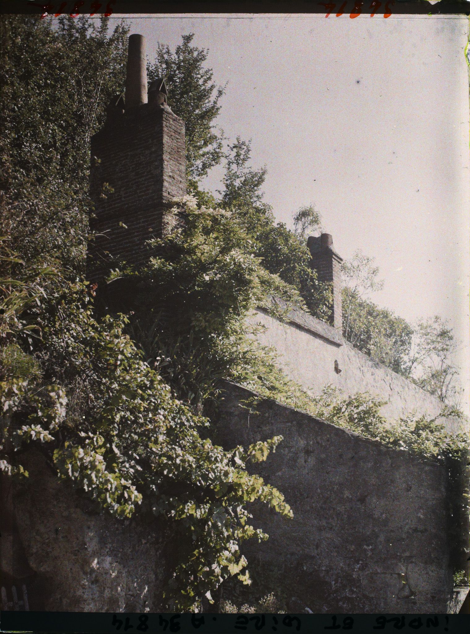 Image représentant Cheminées de maisons troglodytes au Petit Coteau
