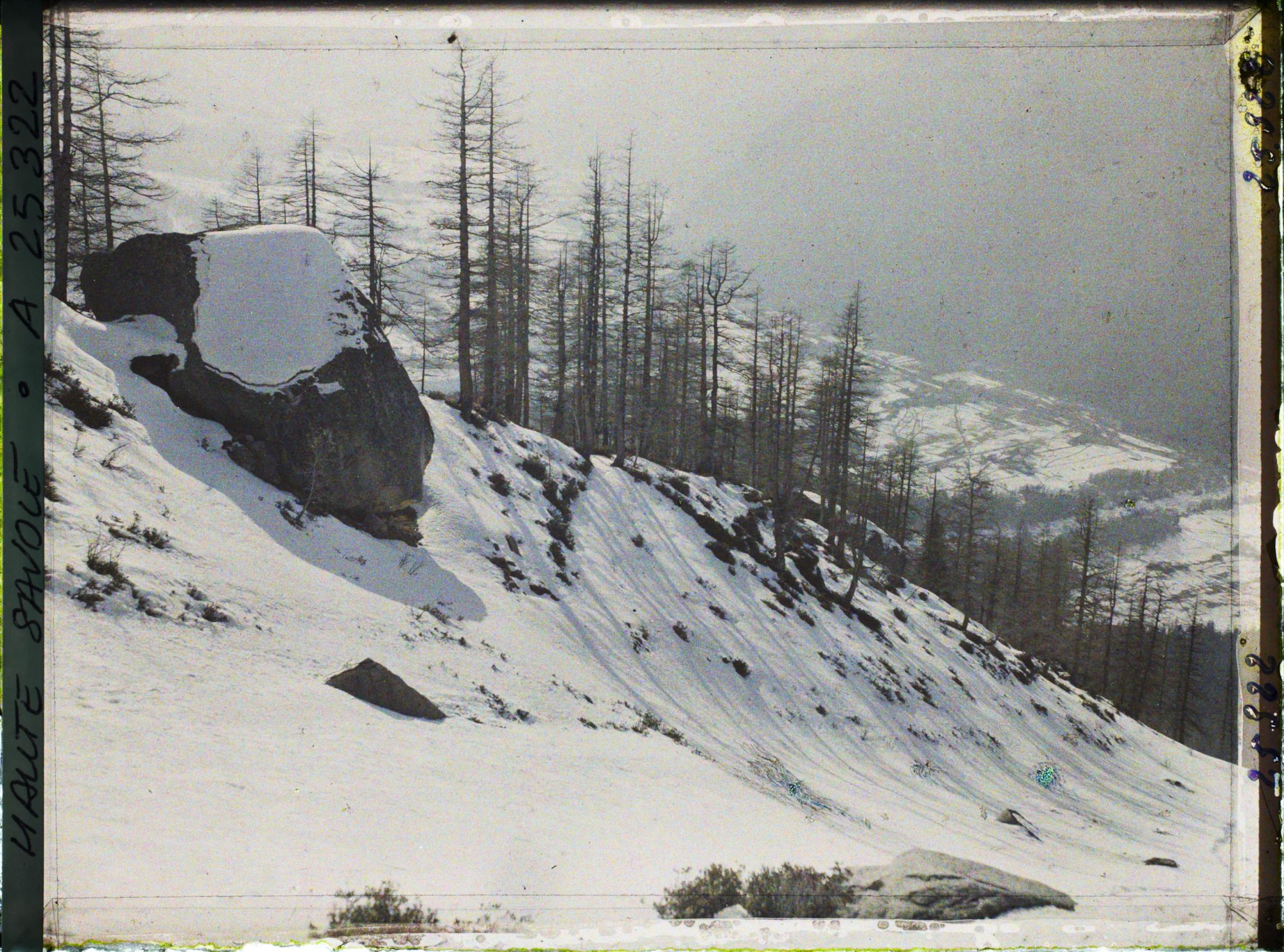 Image représentant France Les Alpes, Le Plan de l'Aiguille, Couloir d'avalanches de la Cornua (Couloir du Glacier des Pèlerins)