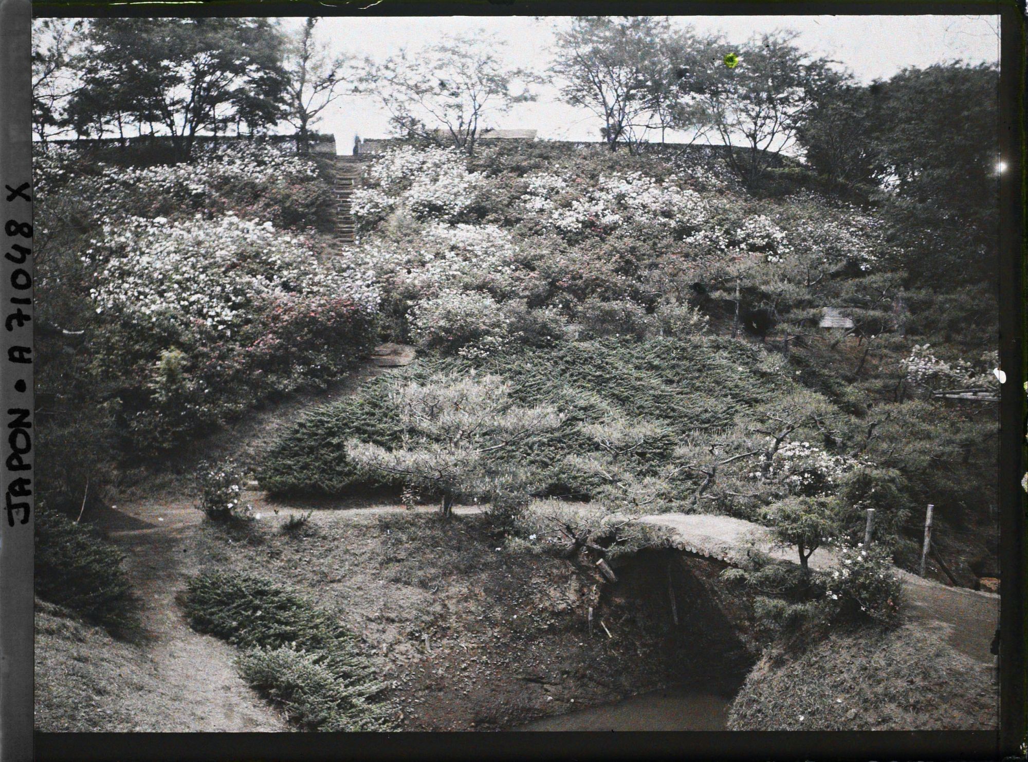 Image représentant Parc