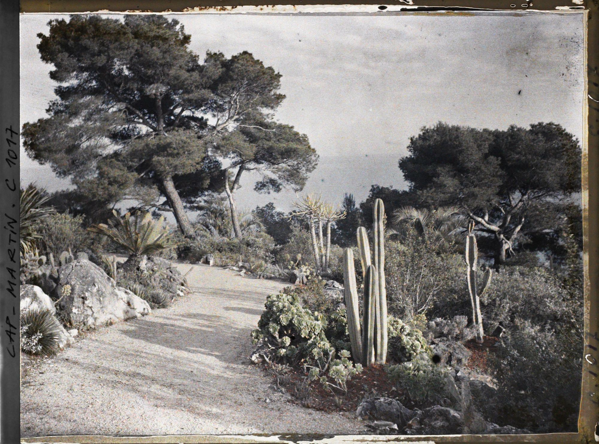 Image représentant Le Jardin, vue vers la mer