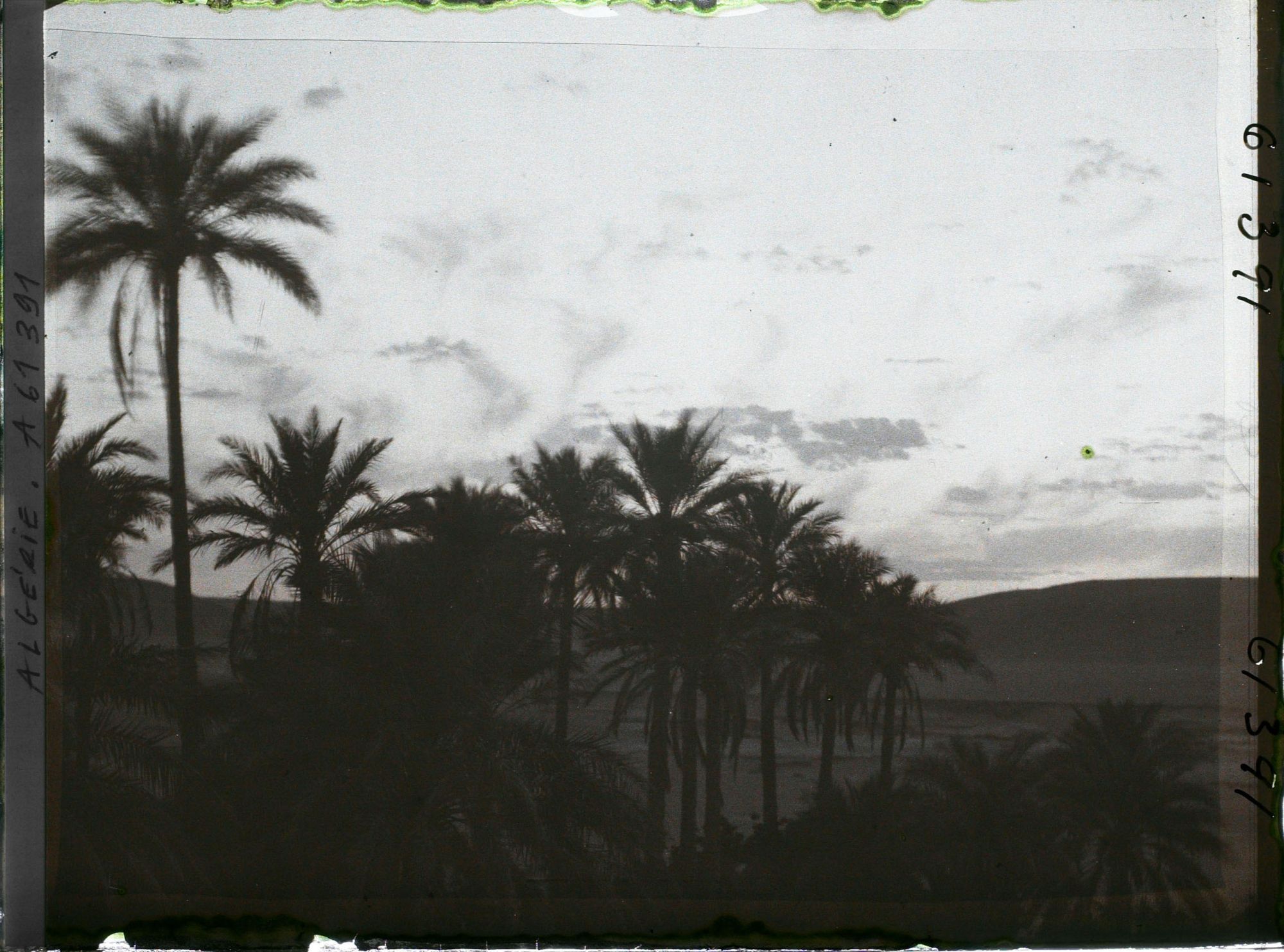 Image représentant Coucher de soleil sur la palmeraie