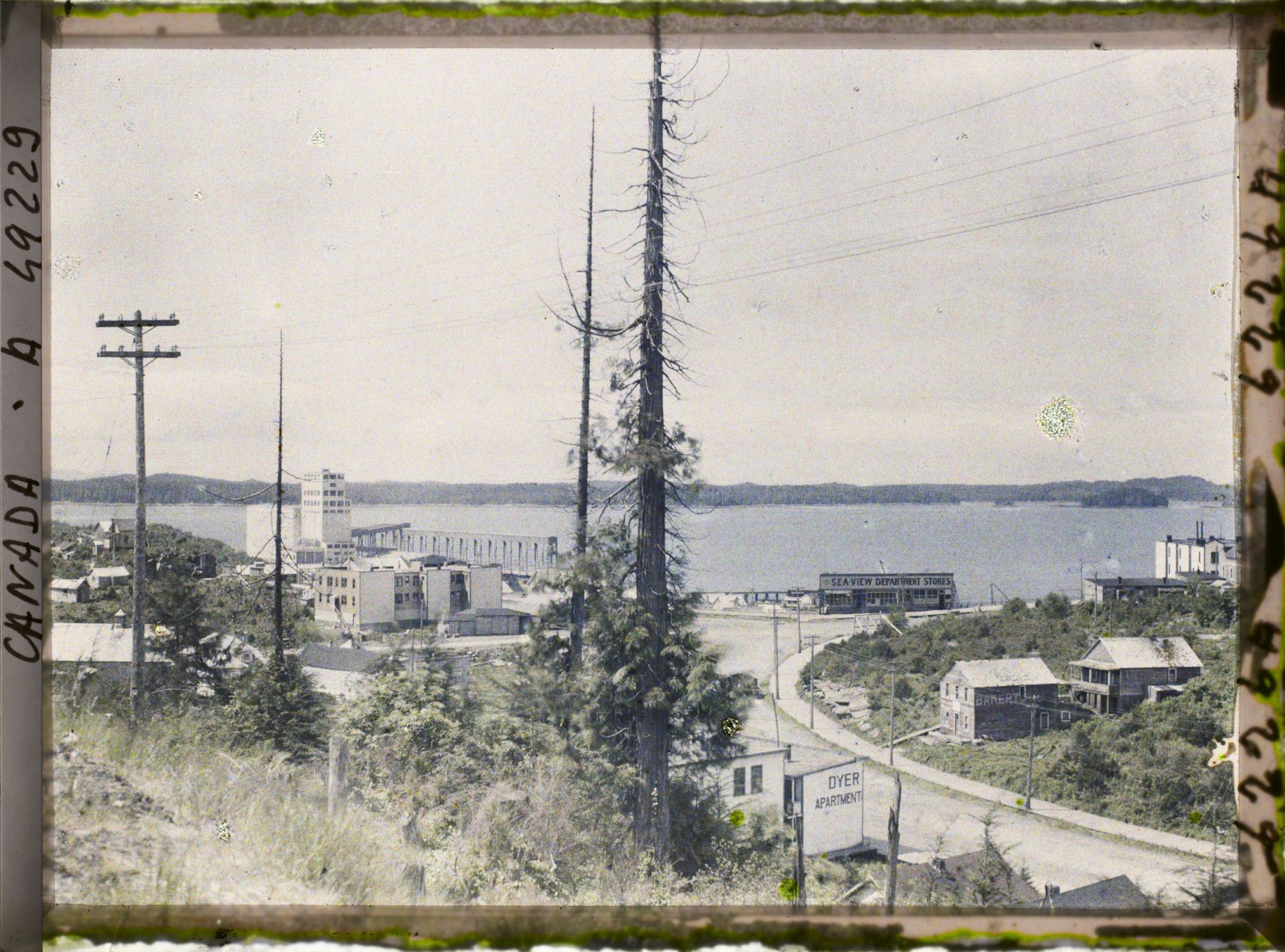 Image représentant Canada, Prince Rupert, Panorama sur la Ville vers la mer