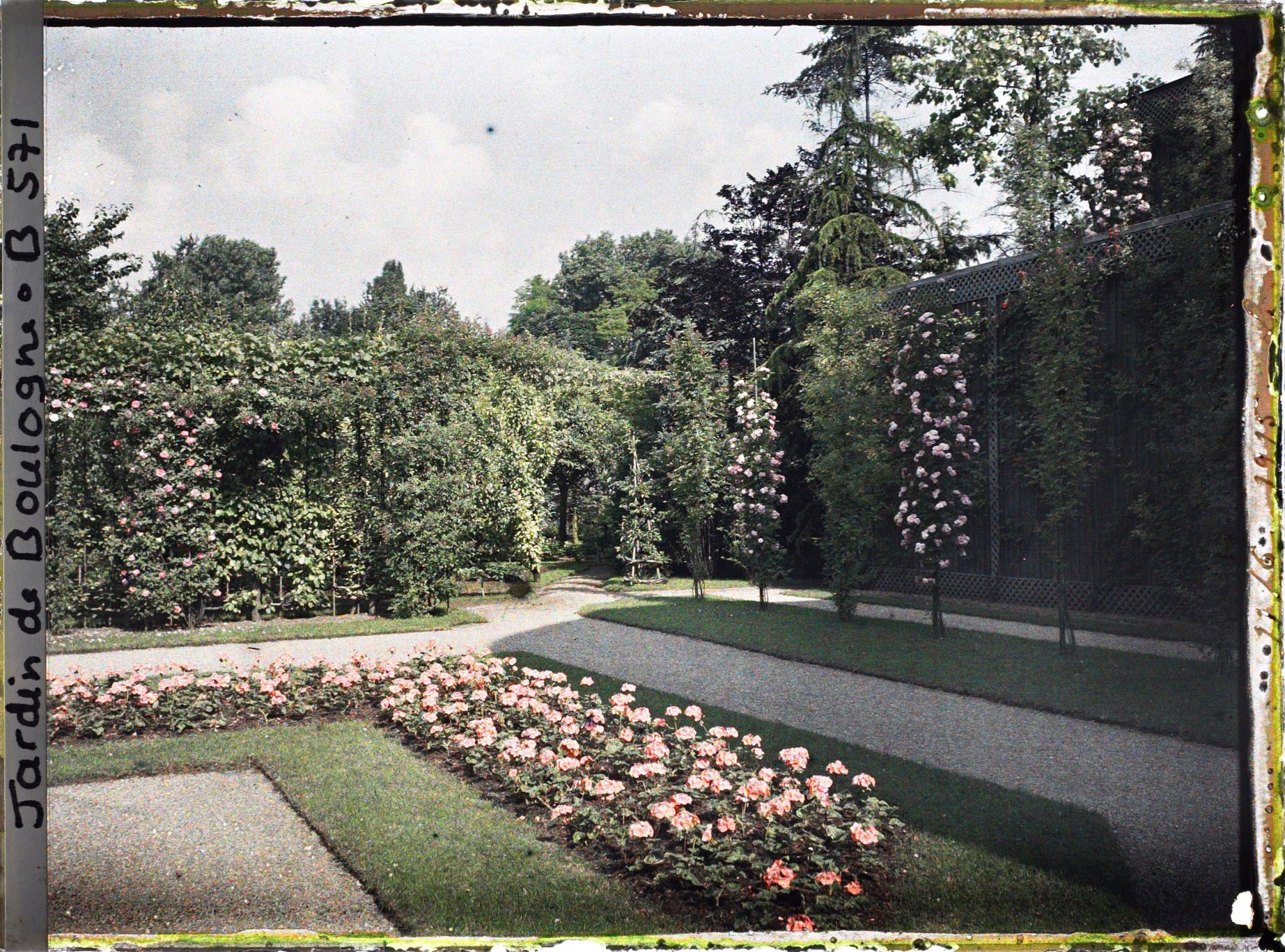 Image représentant Angle nord-ouest du jardin français, vu en direction du verger roseraie et de la forêt bleue