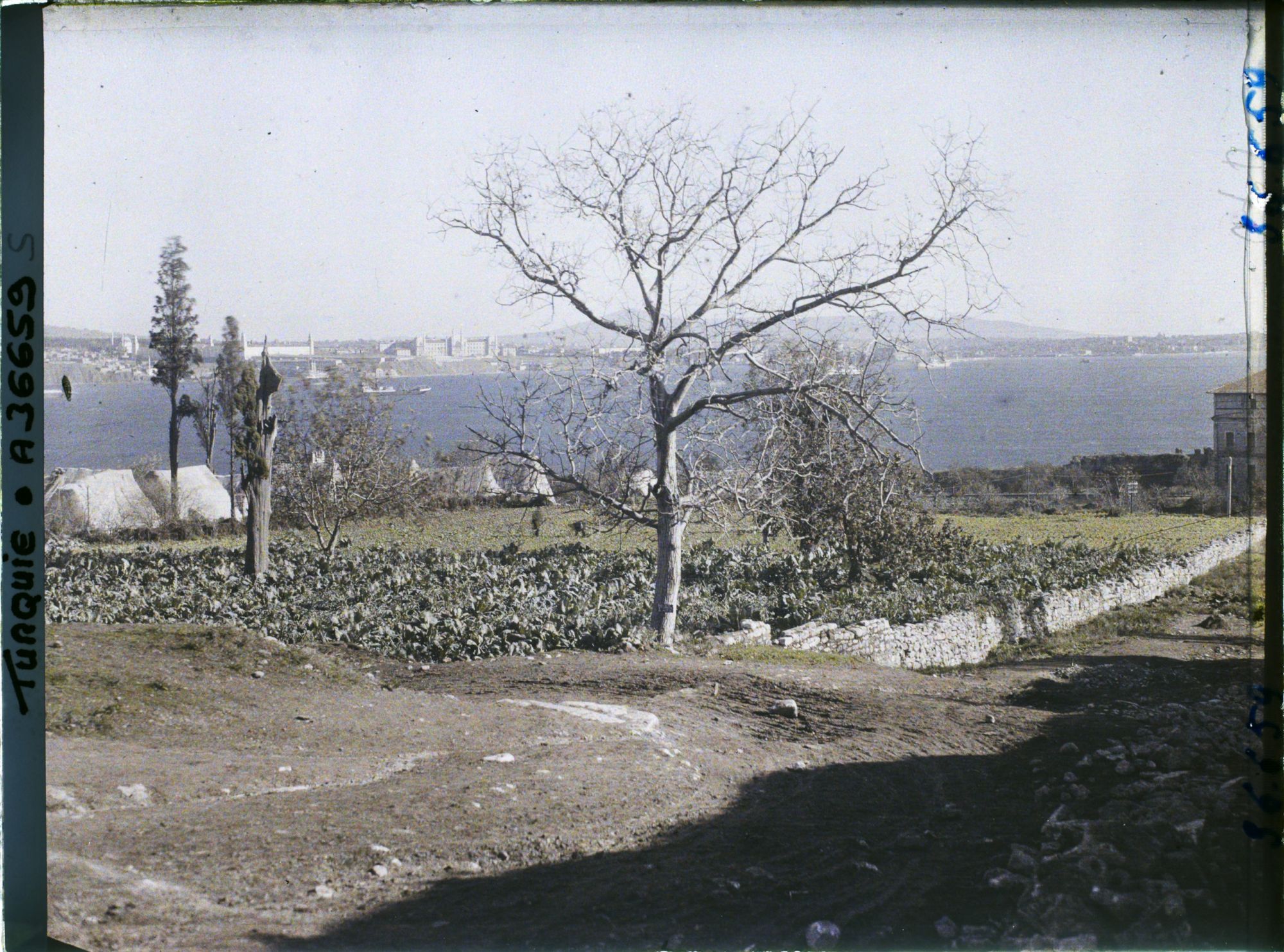 Image représentant Turquie, Constantinople, Vue sur la Côte d'Asie et la Marmara