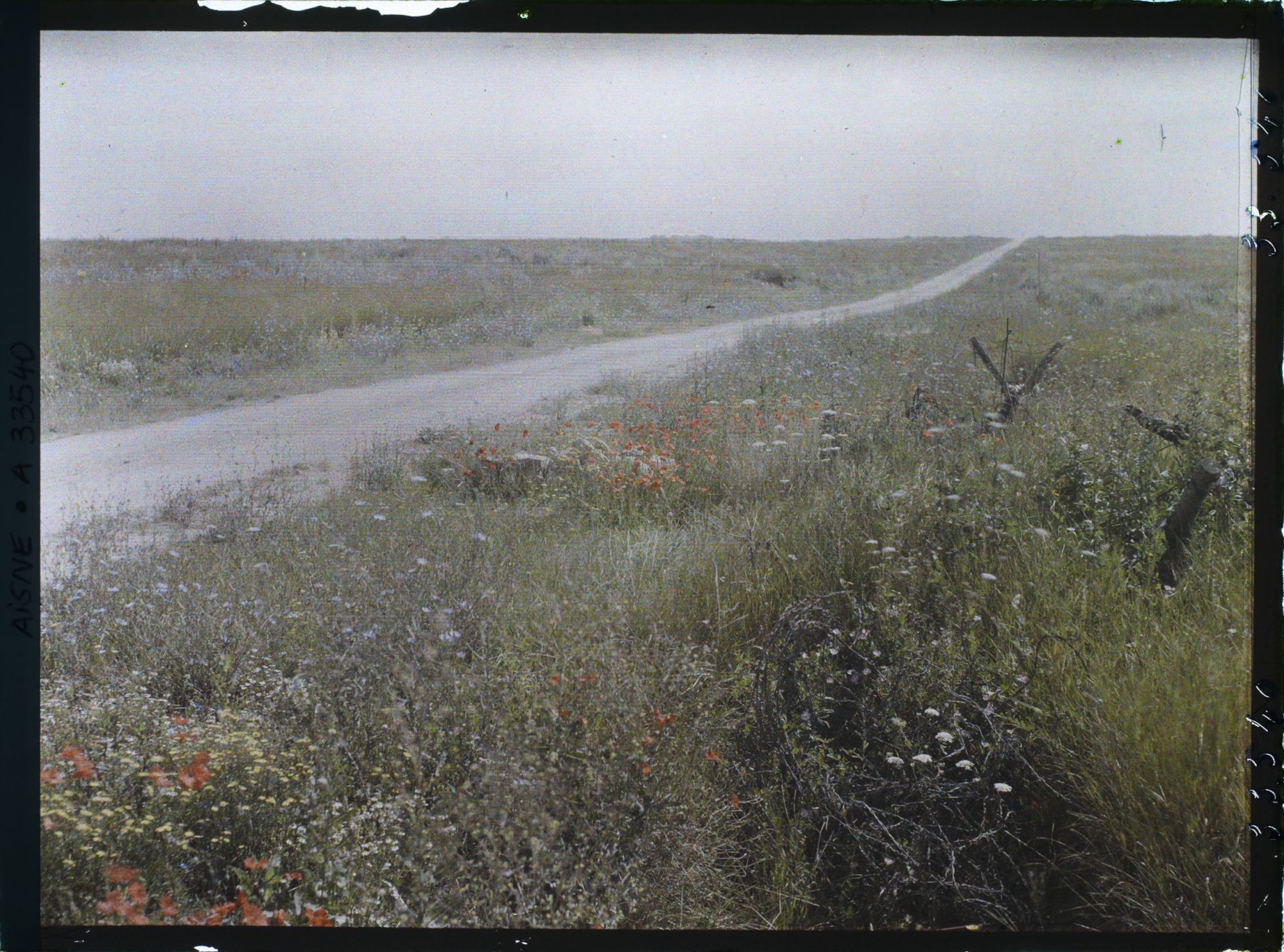 Image représentant France