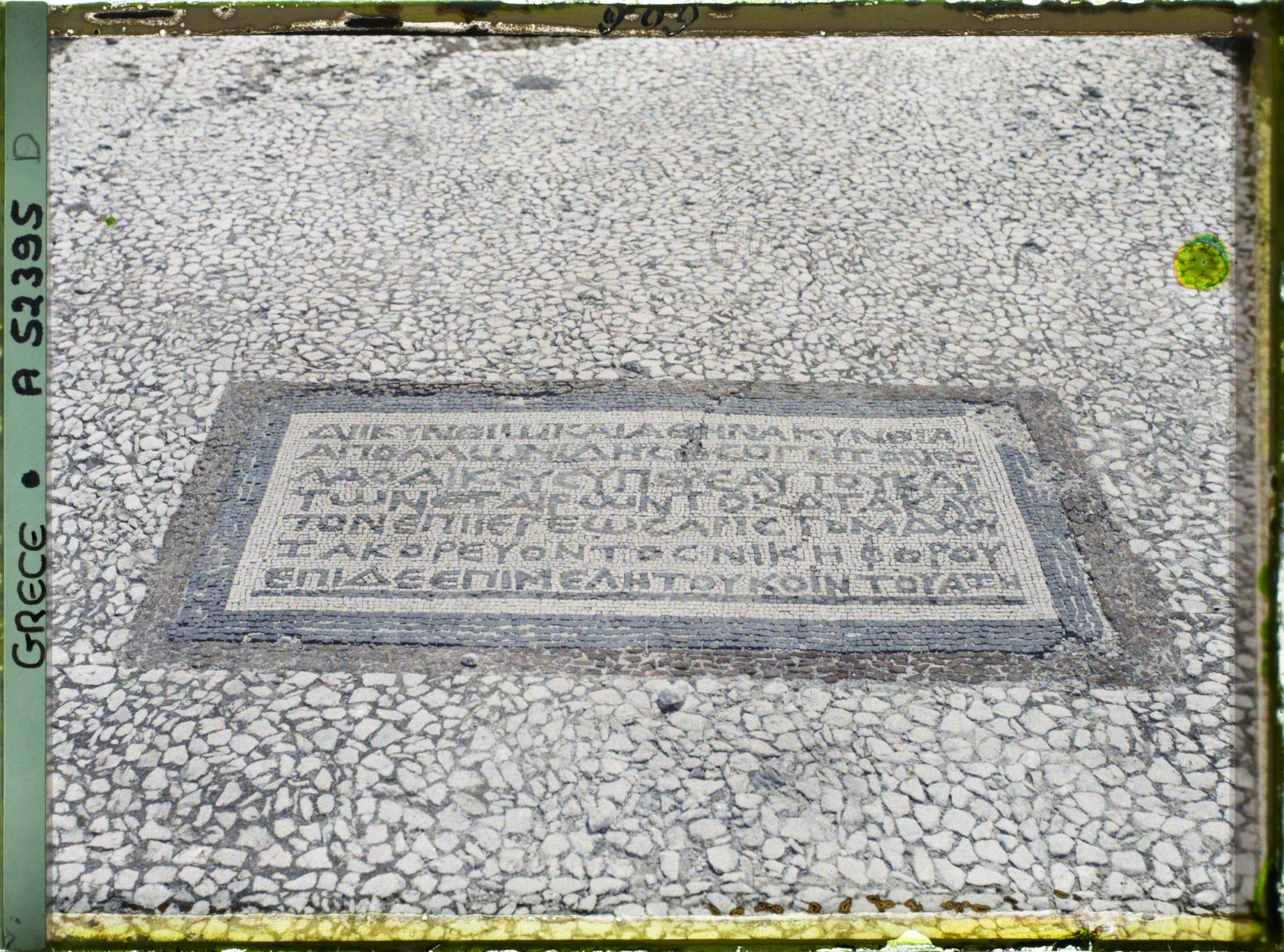 Image représentant La mosaïque du Sommet du Cynthe