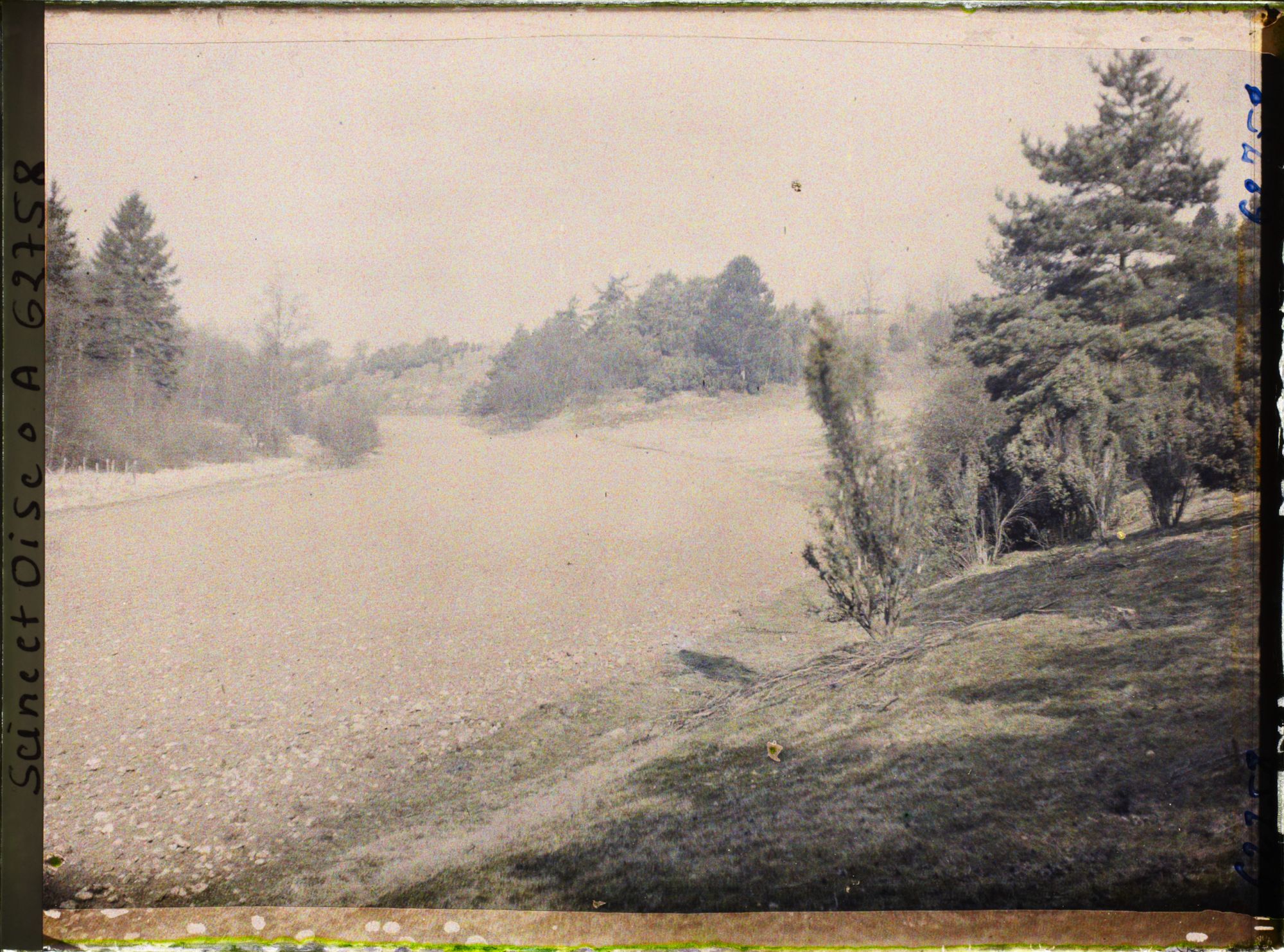 Image représentant Ile de France, Vallangoujard, Terre labourée et ensemencée d'avoine pour la nourriture des lapins de Garenne