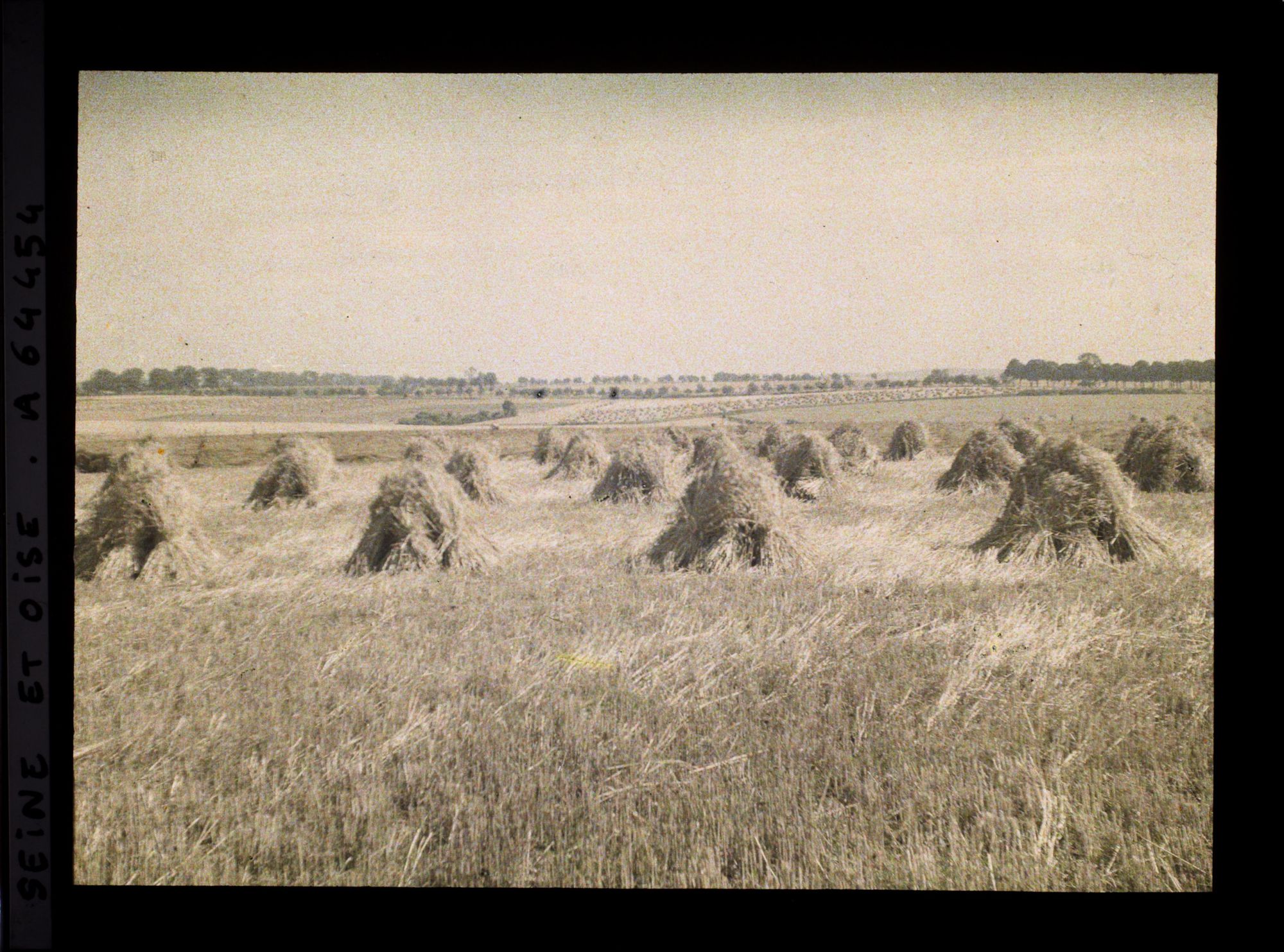 Image représentant Ile de France, Bouffemont, Blé moissonné