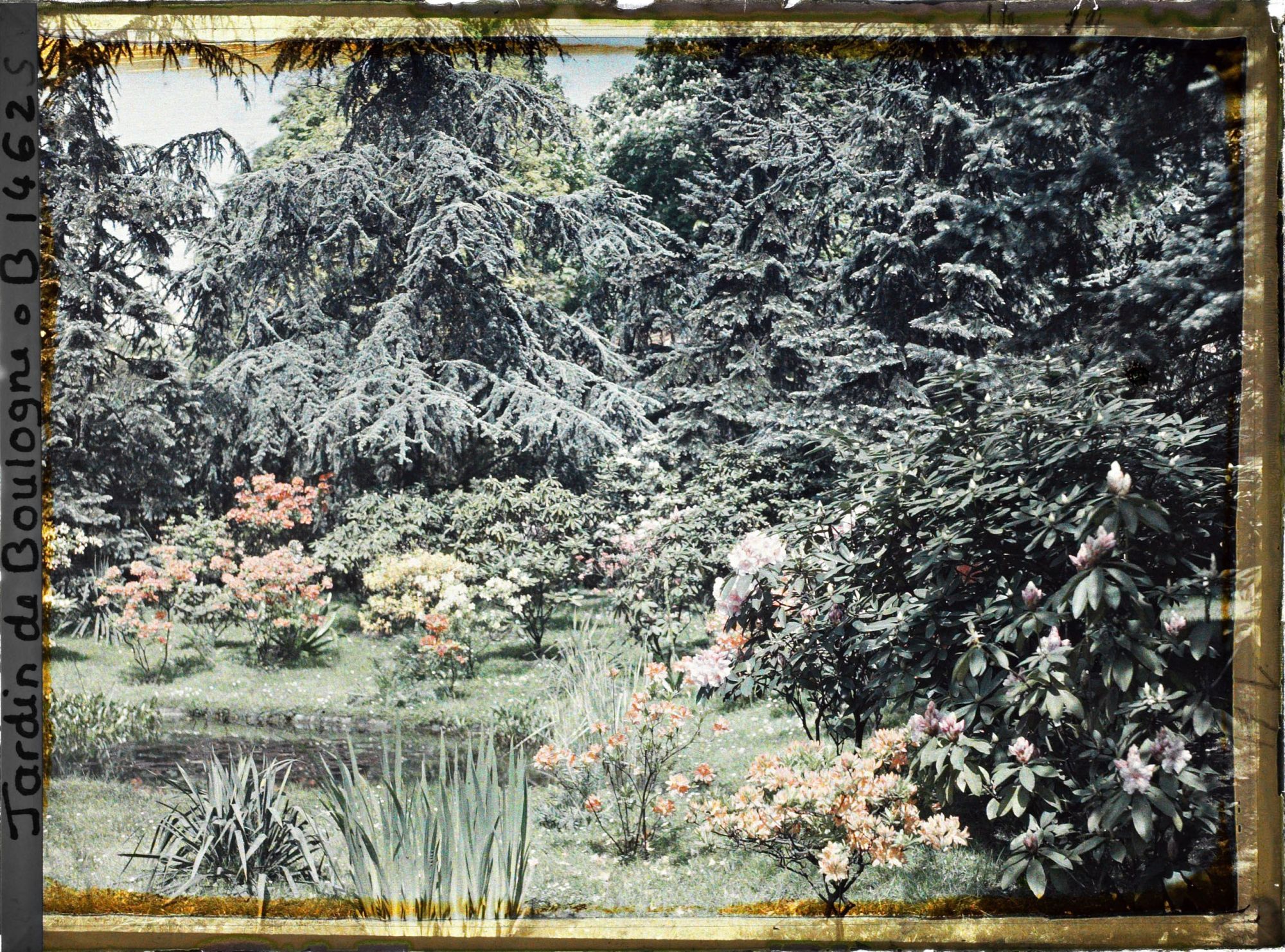 Image représentant Bord " d'étang " fleuri en partie nord-est du marais, vu en direction du nord