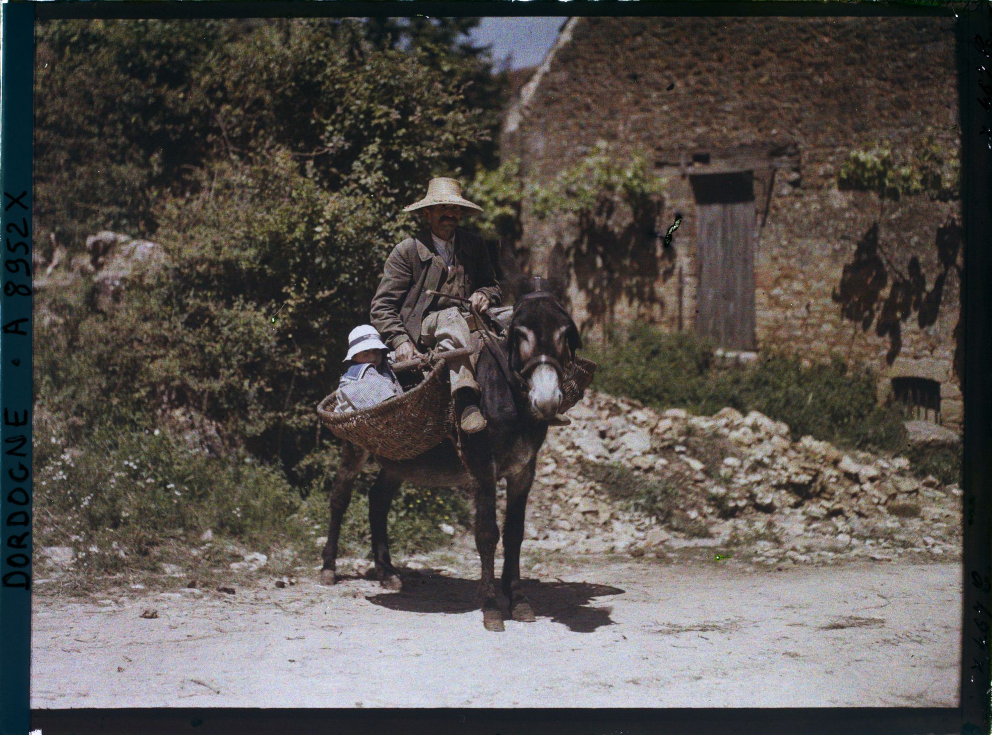 Image représentant France, Domme, Des balasts sur un âne, le grand-père et la petite fille sur un âne