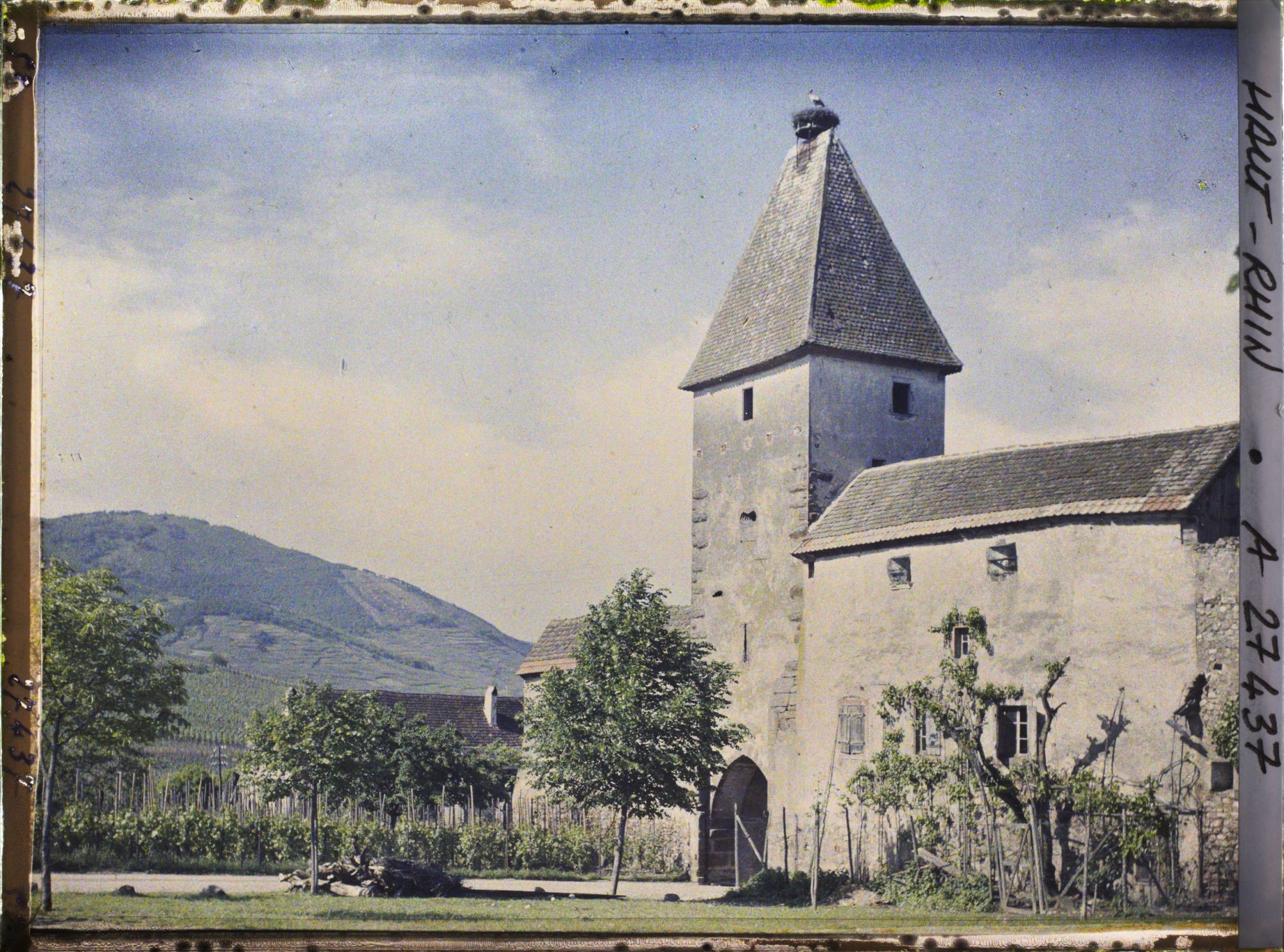 Image représentant France, Ammerschwihr, La Vieille Porte et le nid de Cigognes