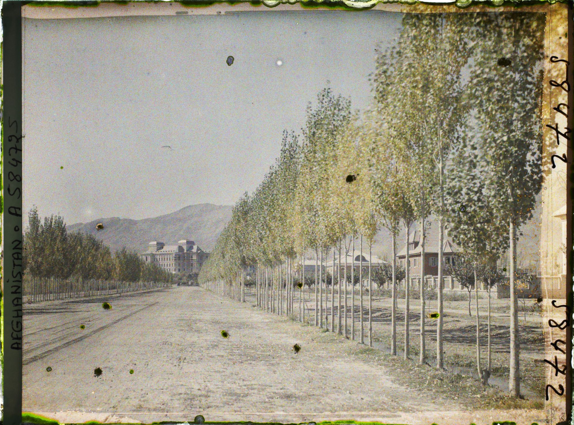 Image représentant L'avenue reliant Kaboul à Dar-Ul-Aman (actuel boulevard Dar-Ul-Aman, vers la nouvelle capitale  )
